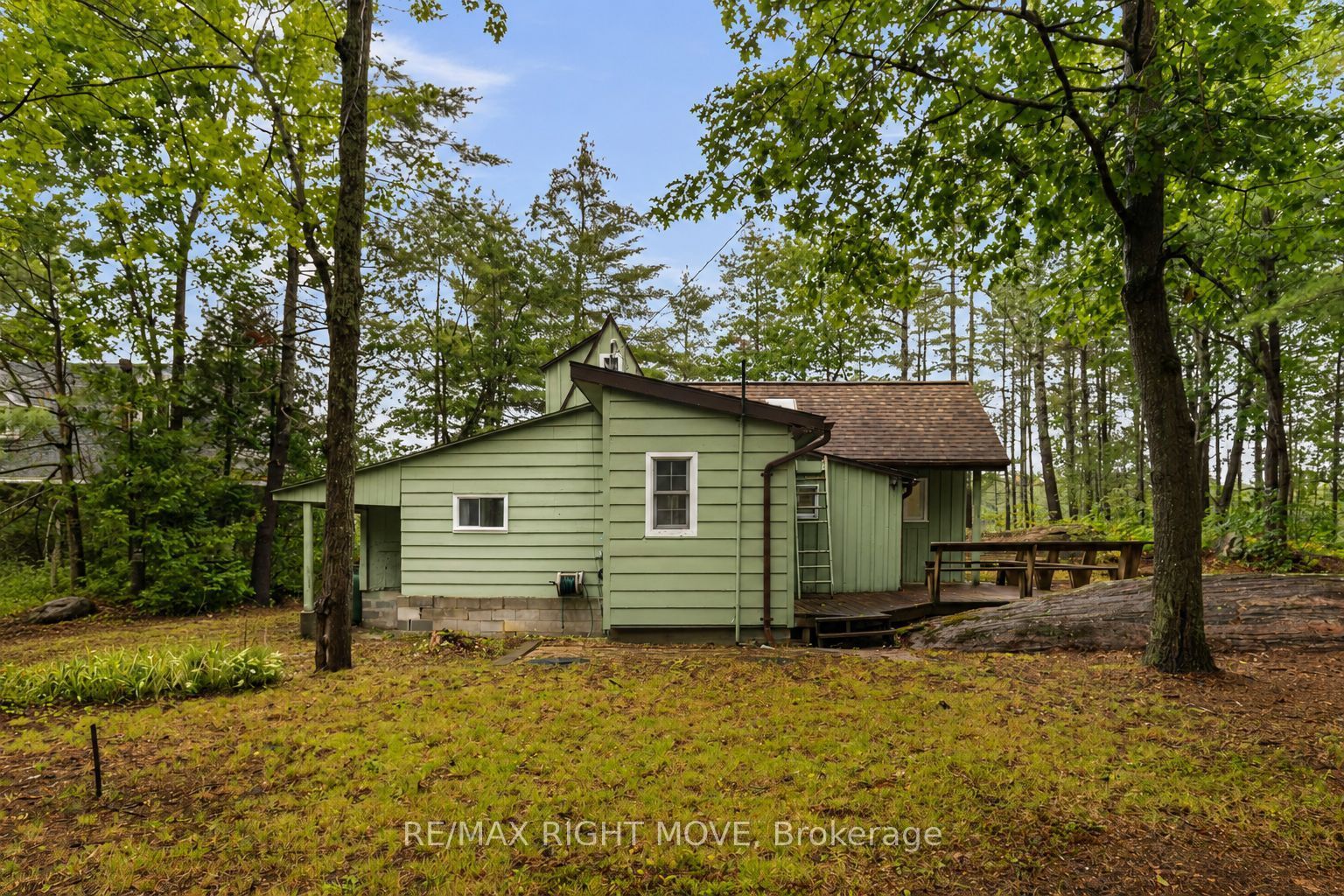 Main Property