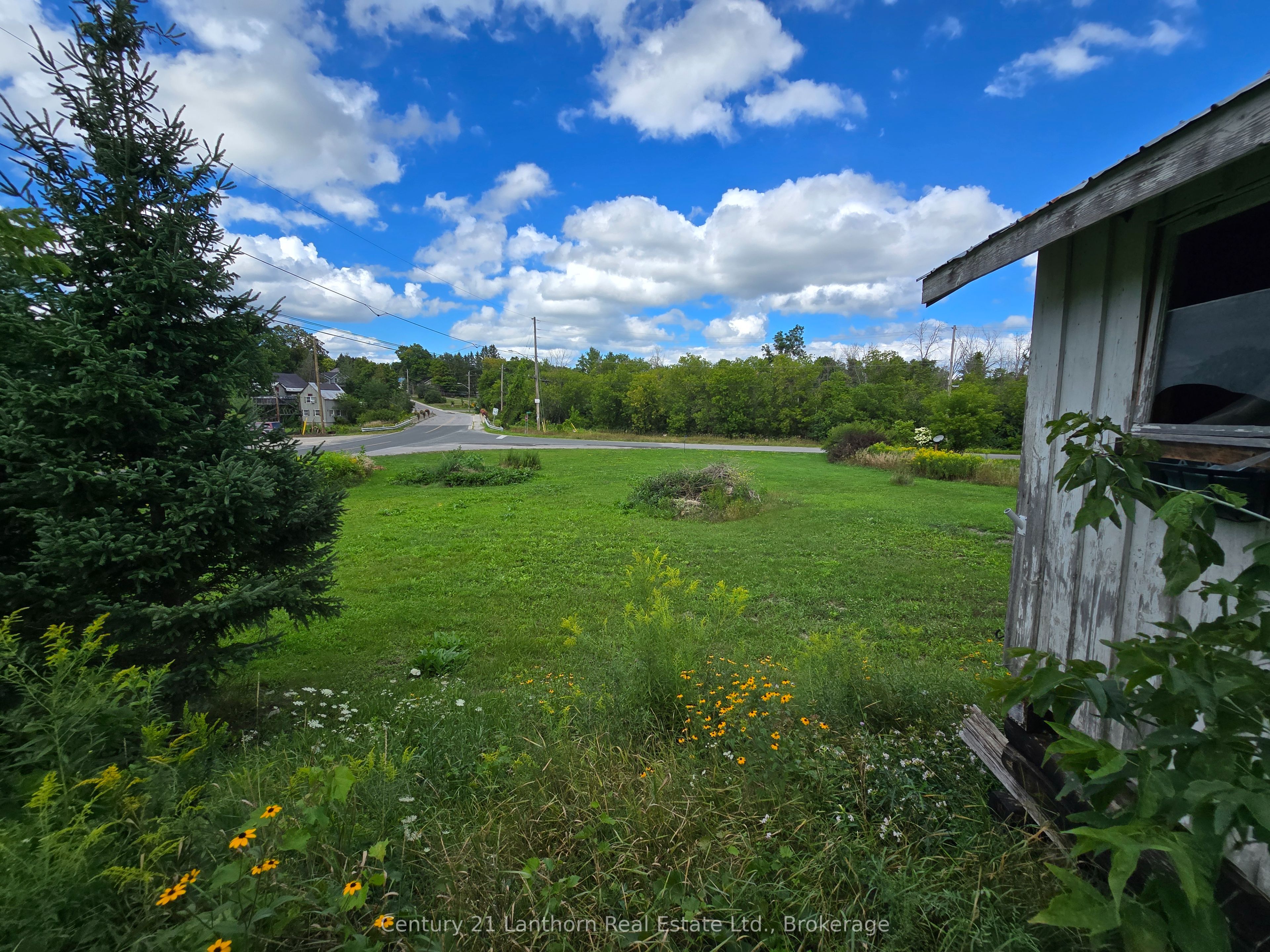 Listing 264883 Image
