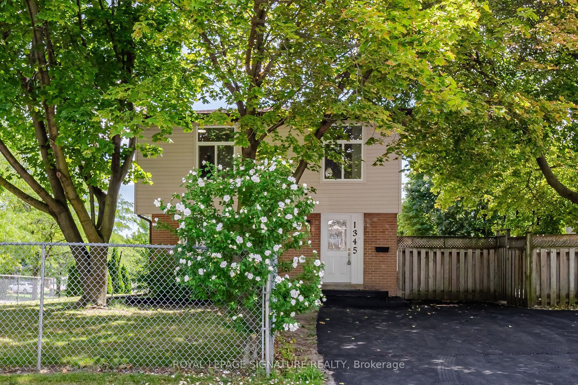 Listing 261899 Image