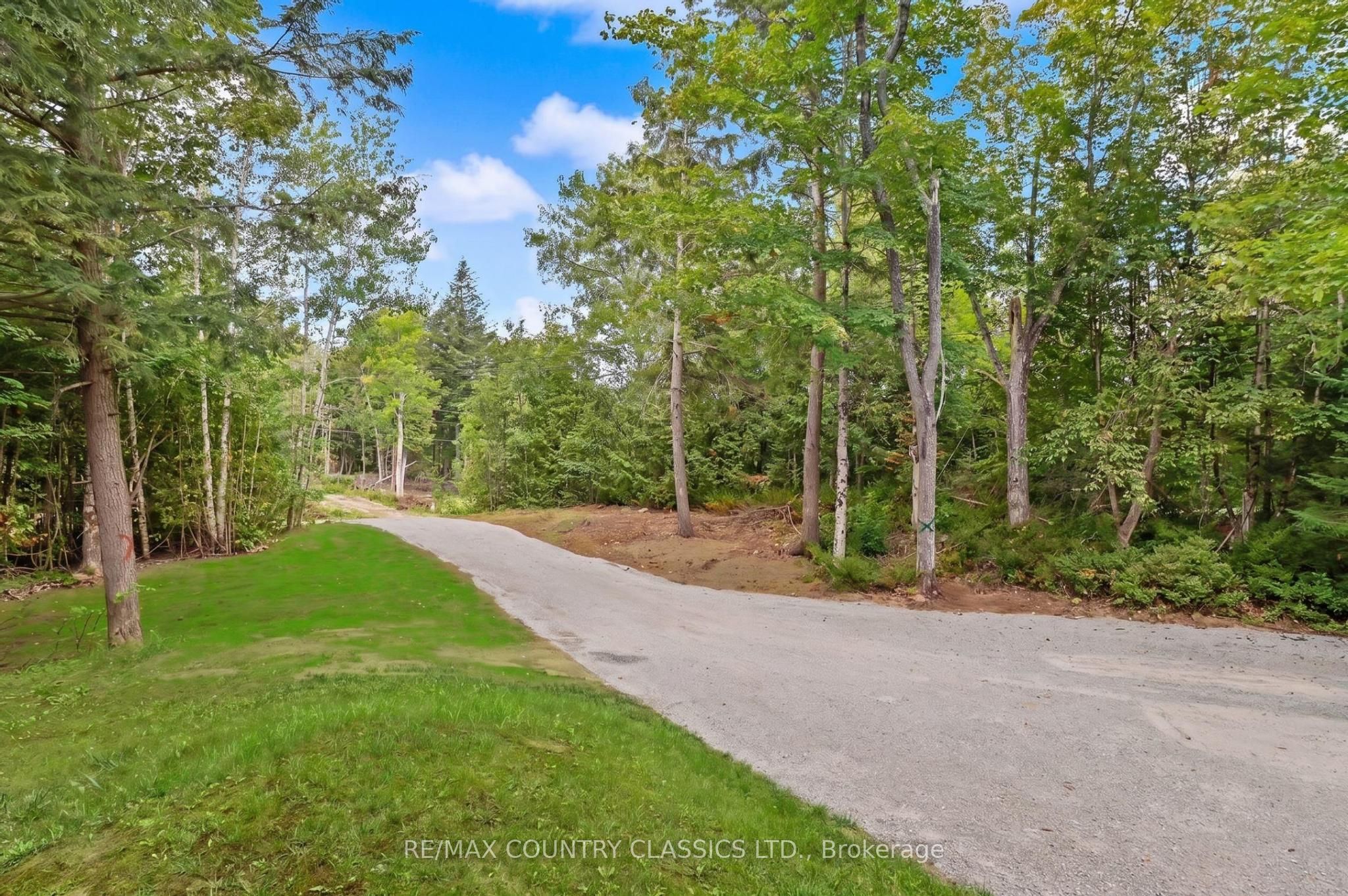 Listing 265408 Image