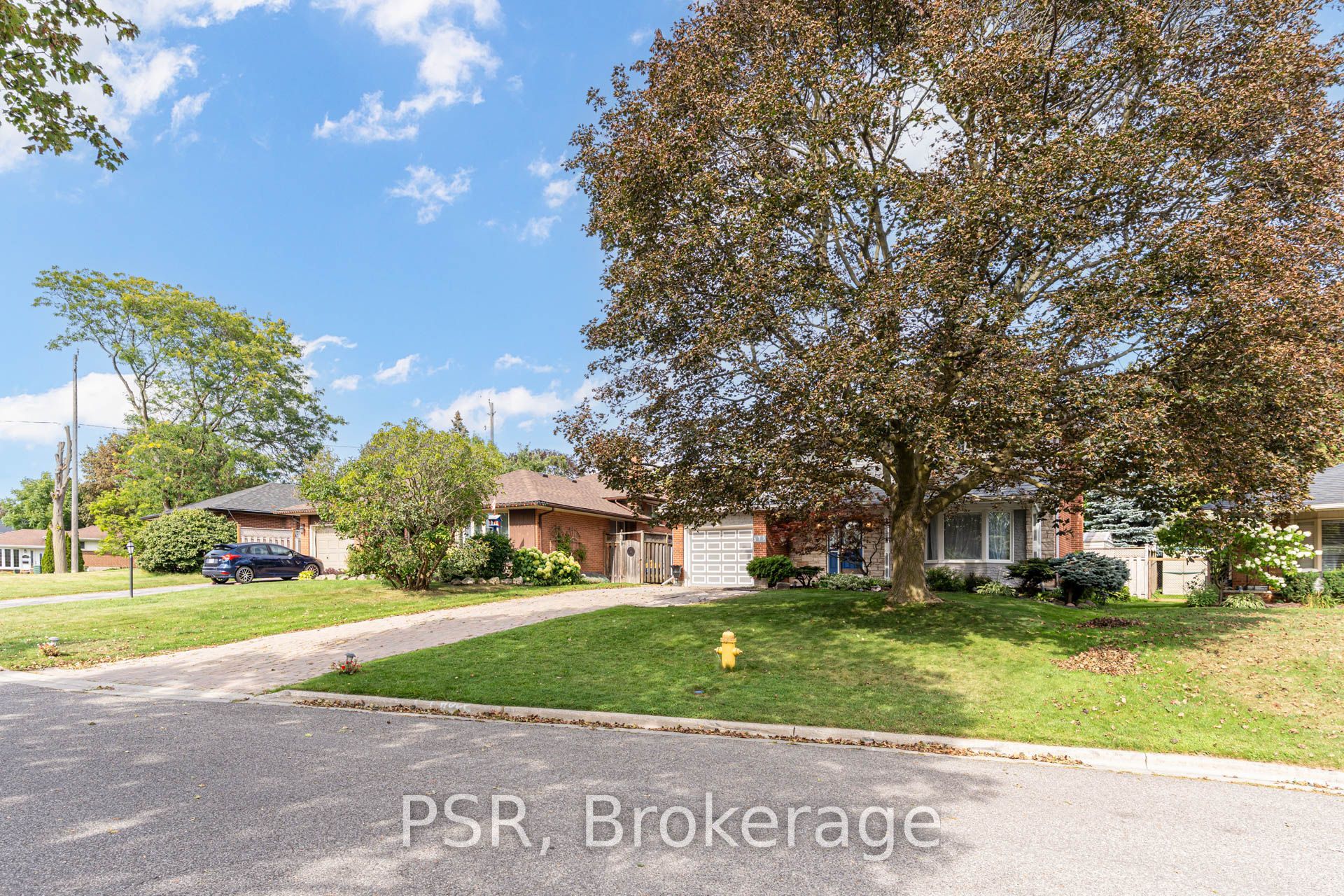 Listing 262382 Image