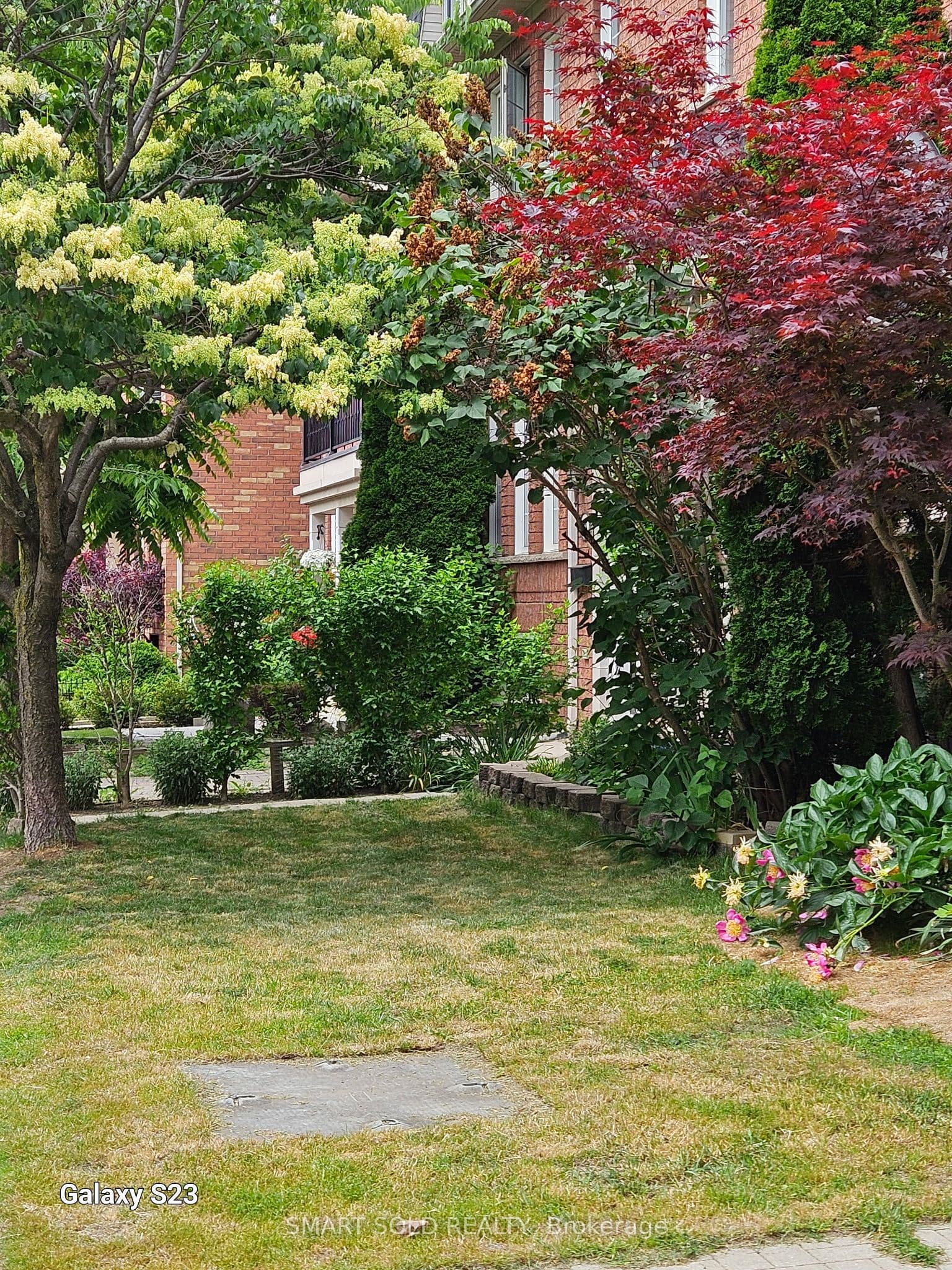 Listing 318150 Image