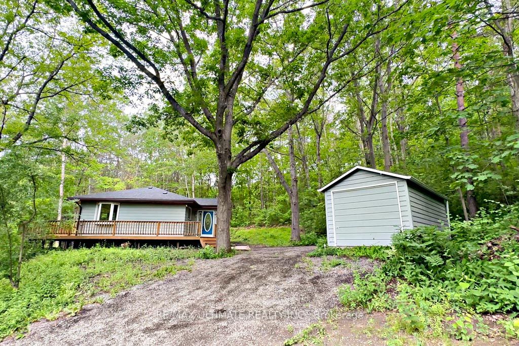 Listing 263194 Image