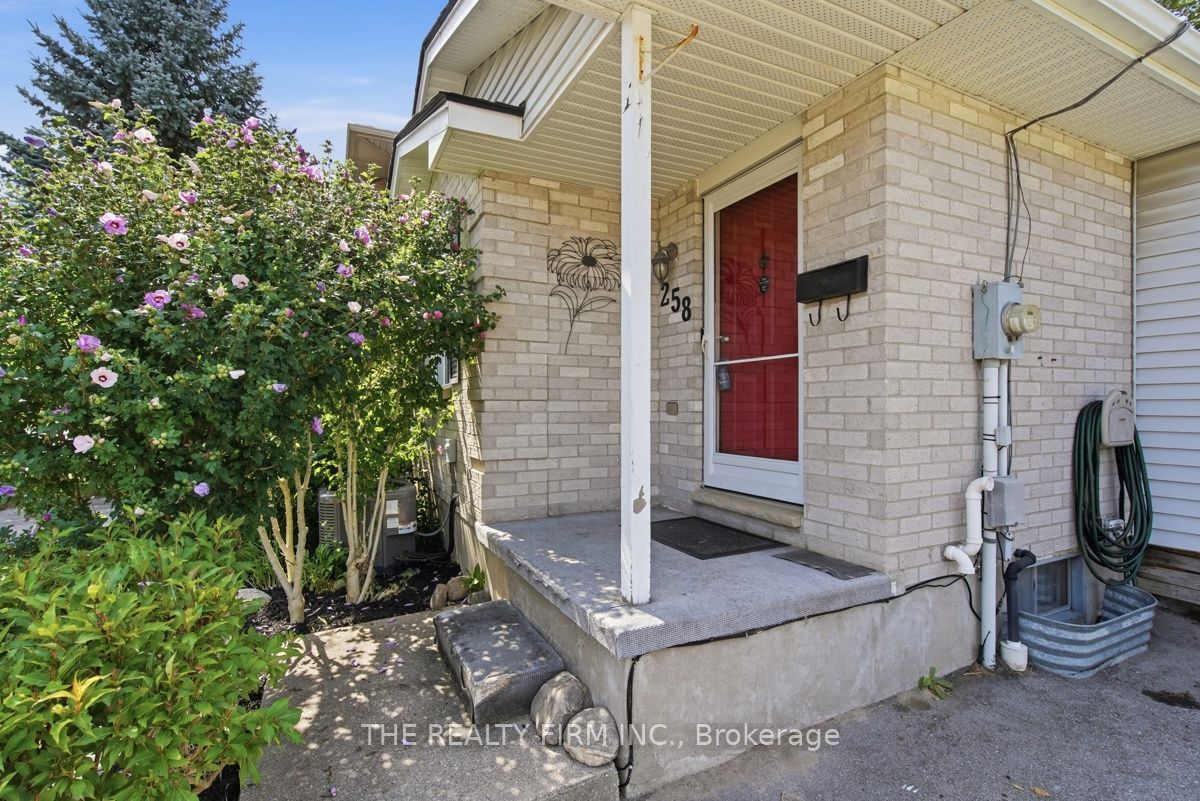 Listing 264418 Image