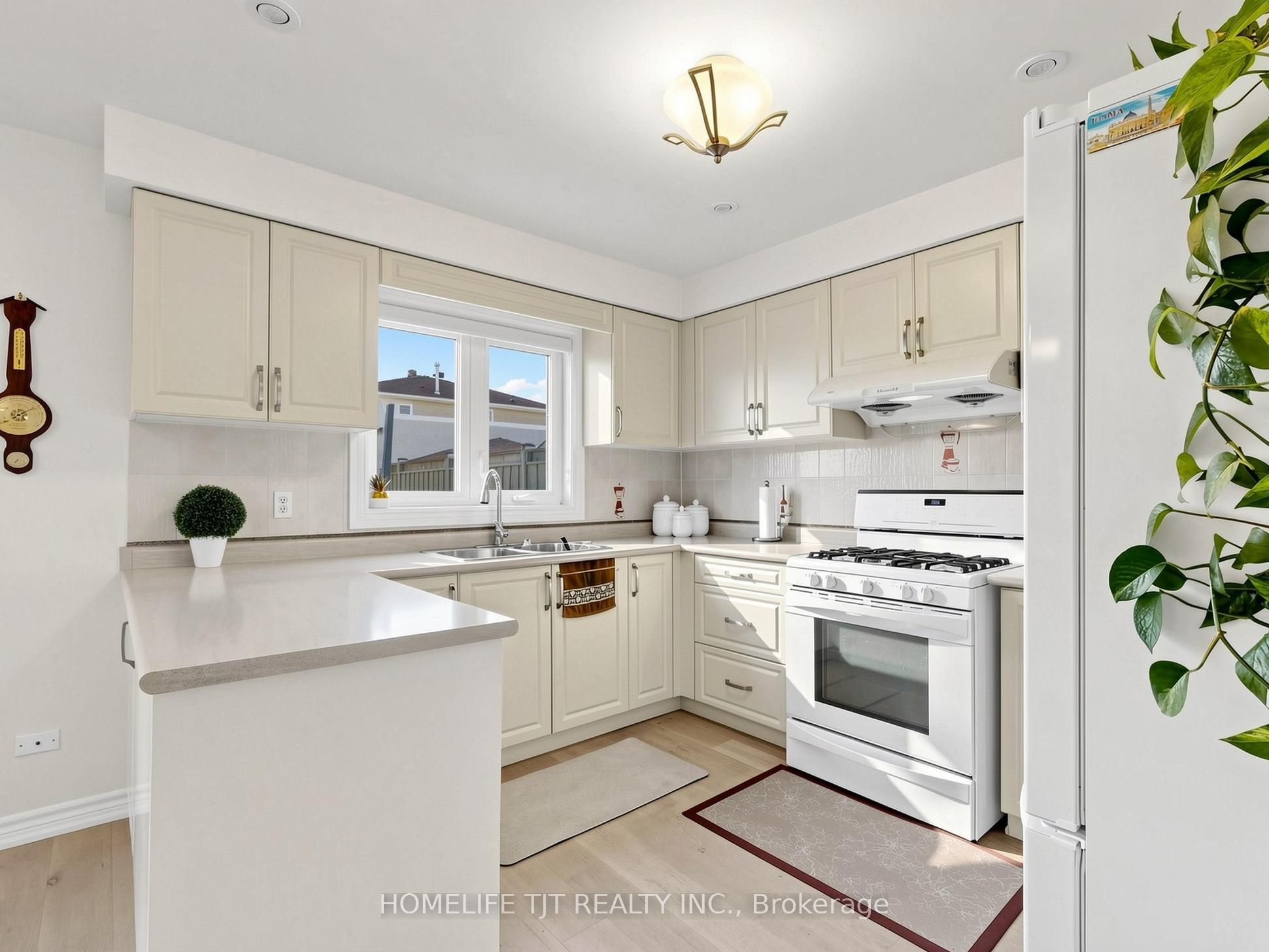 Listing 267254 Image