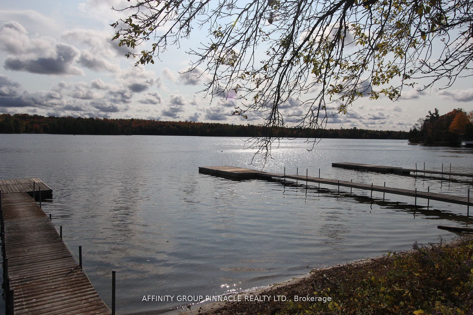 Listing 263732 Image