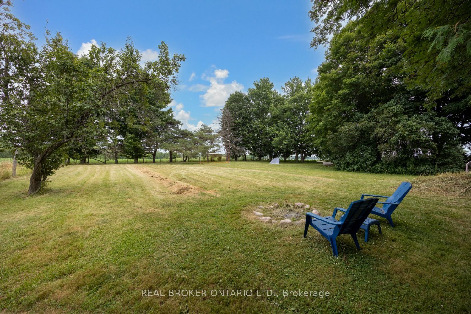 Listing 264093 Image