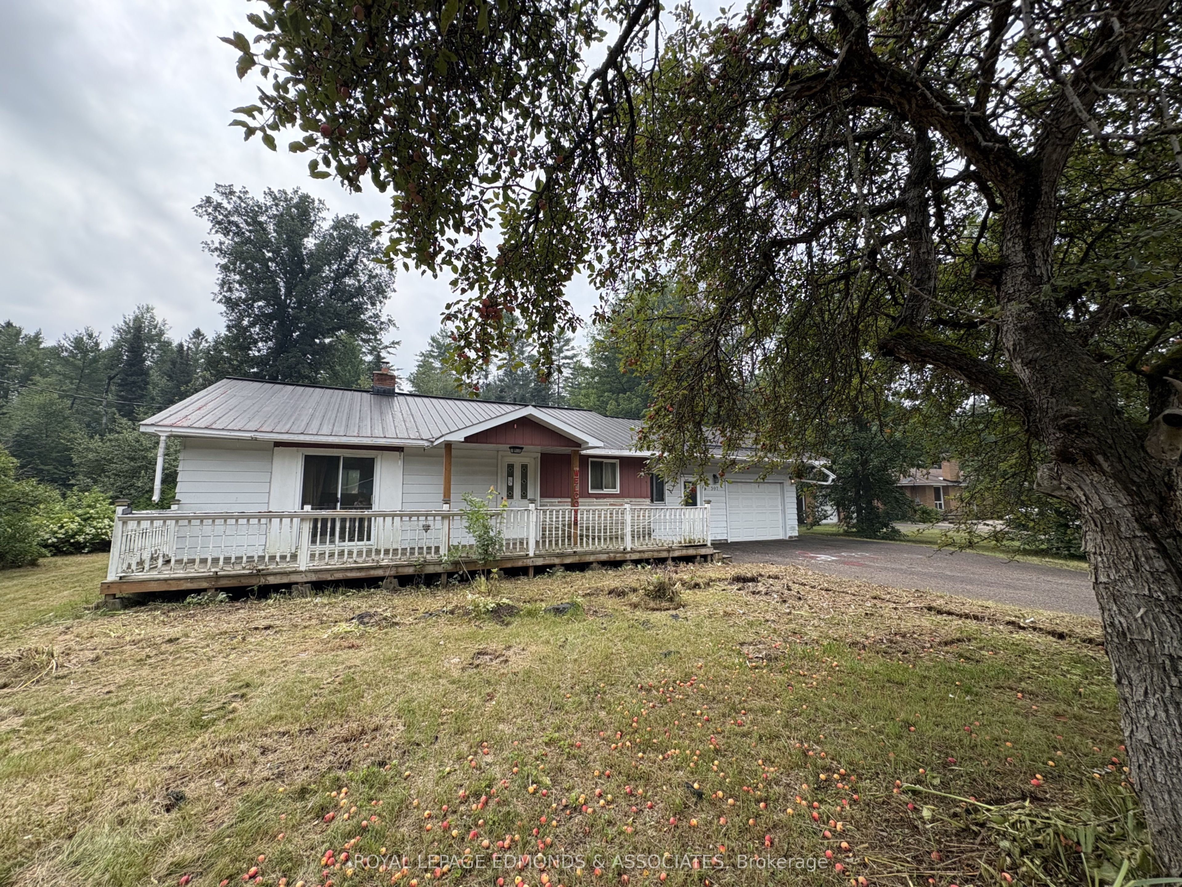 Listing 265836 Image