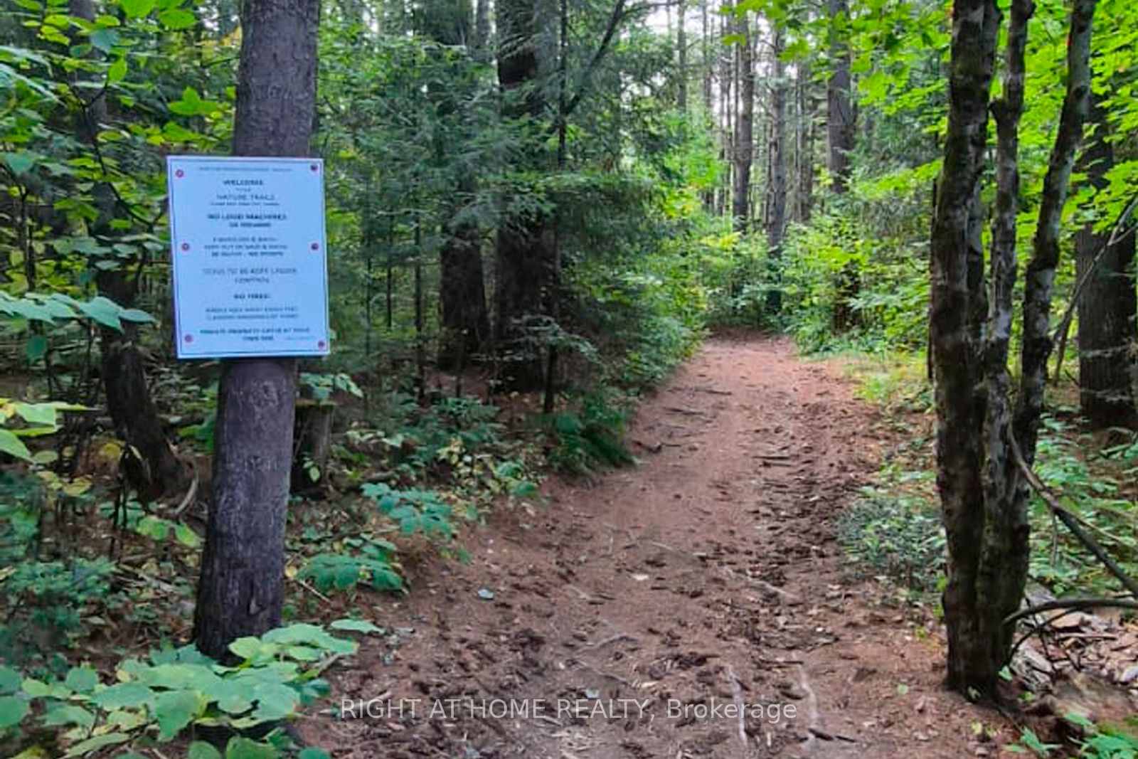 Listing 266519 Image