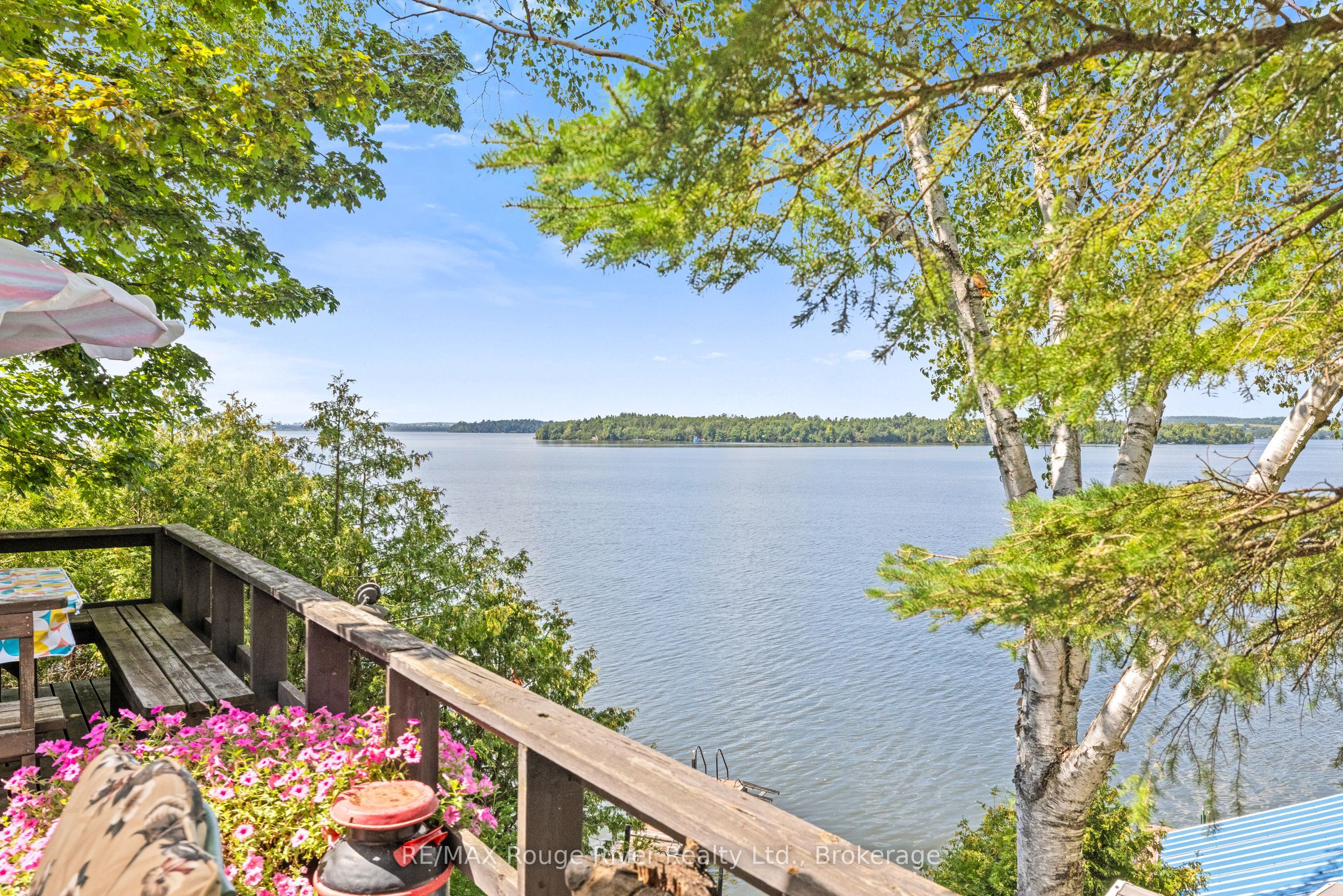 Listing 265594 Image