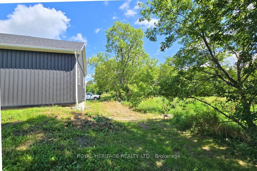 Listing 266564 Image