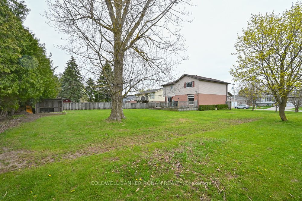 Listing 266687 Image