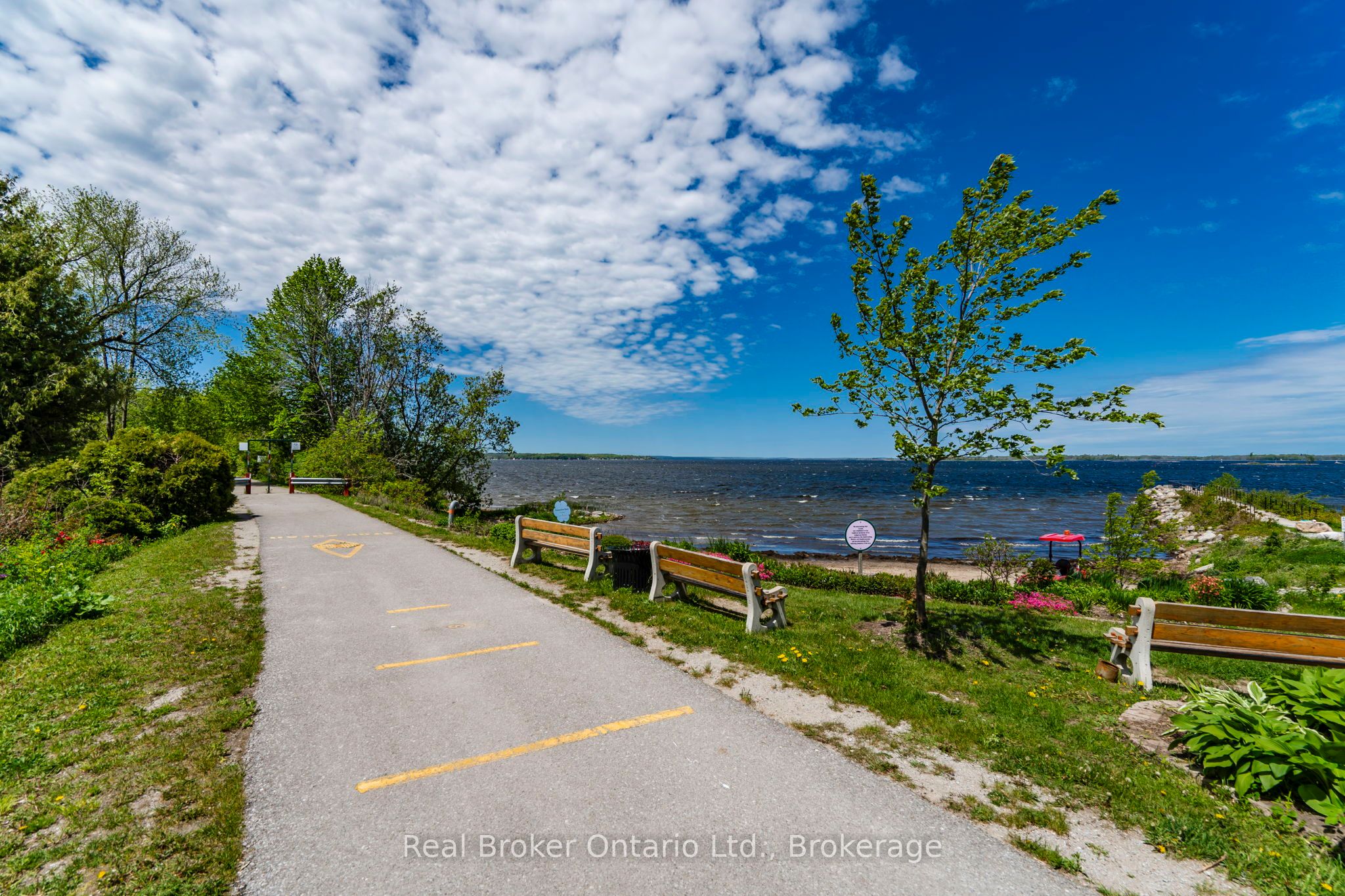 Listing 271528 Image