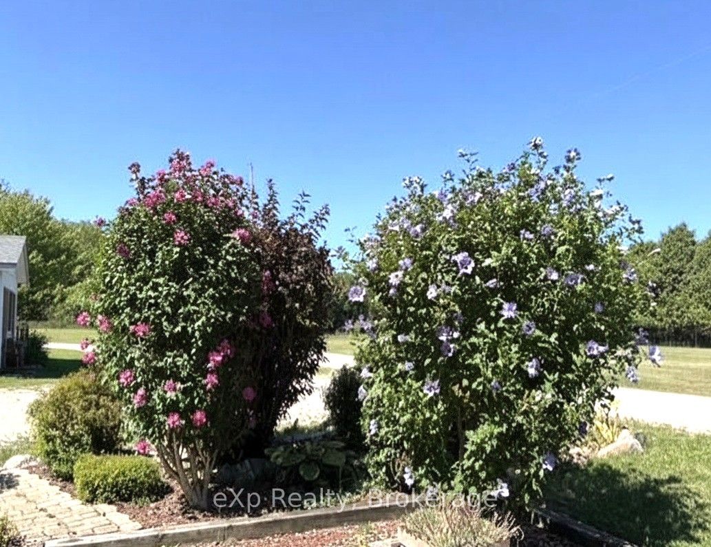 Listing 269313 Image