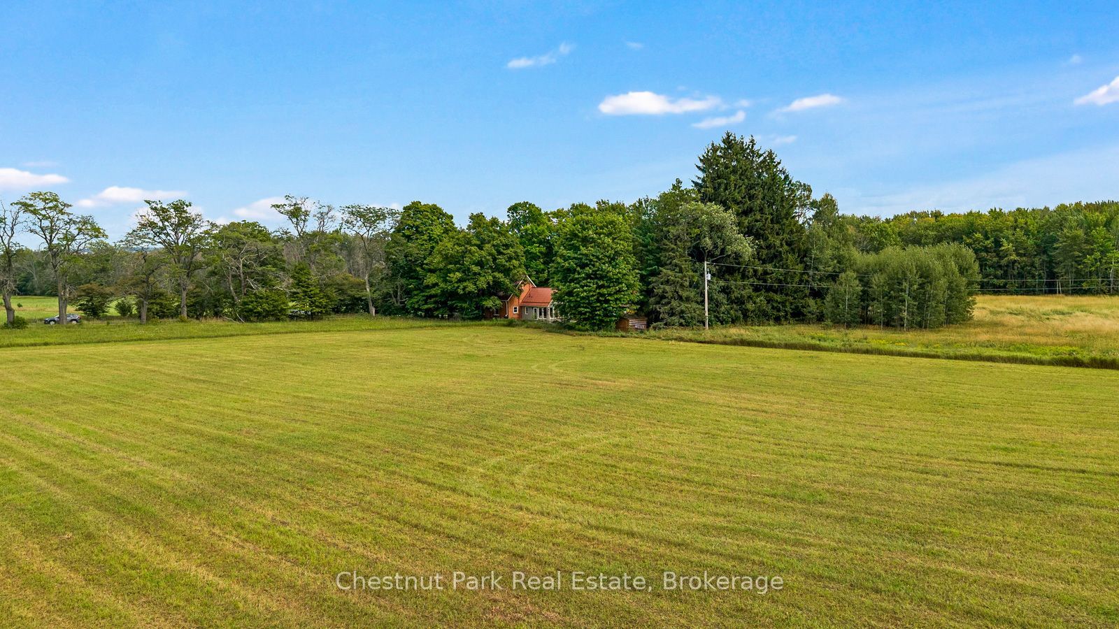 Listing 268906 Image