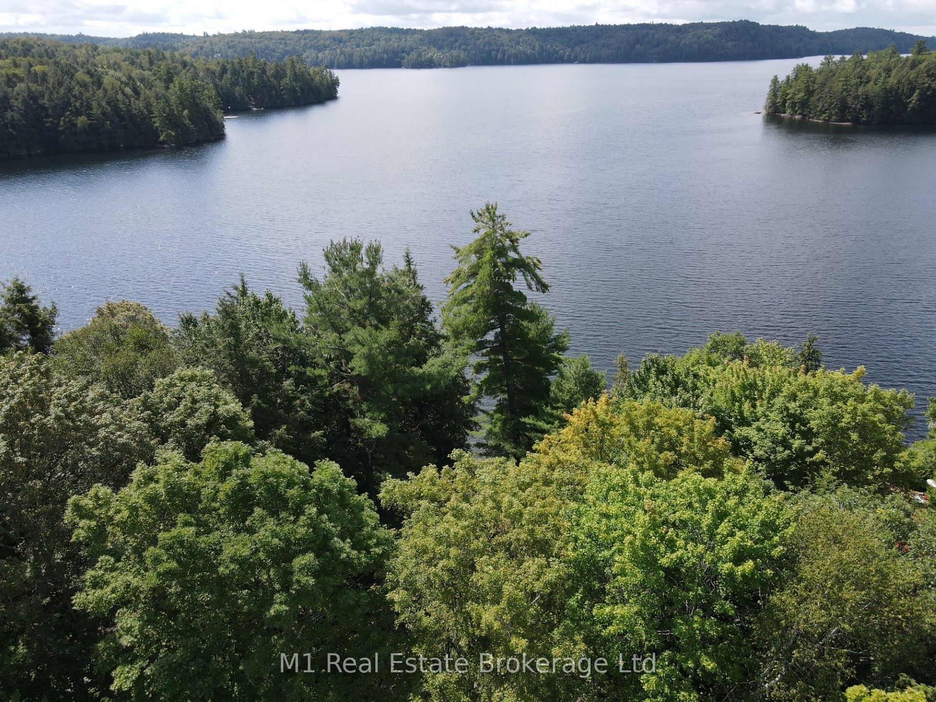Listing 265763 Image