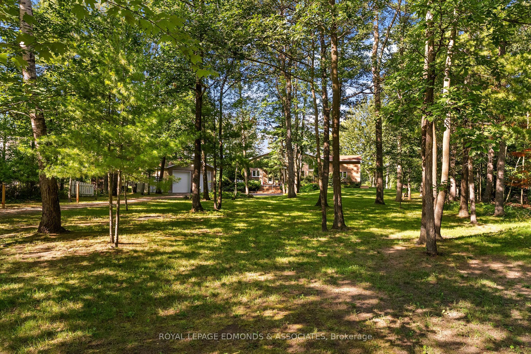 Listing 266505 Image