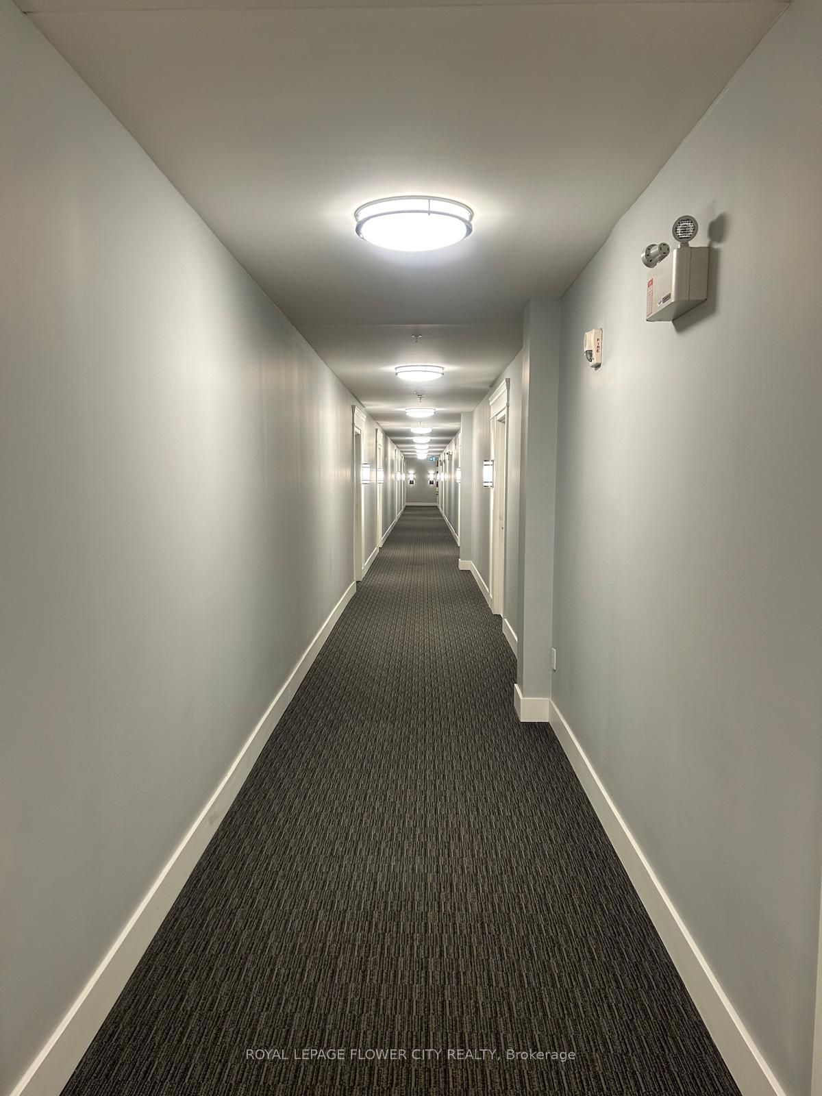 Listing 266540 Image