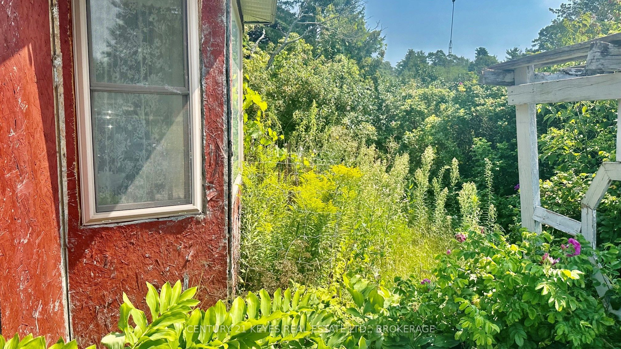 Listing 266374 Image