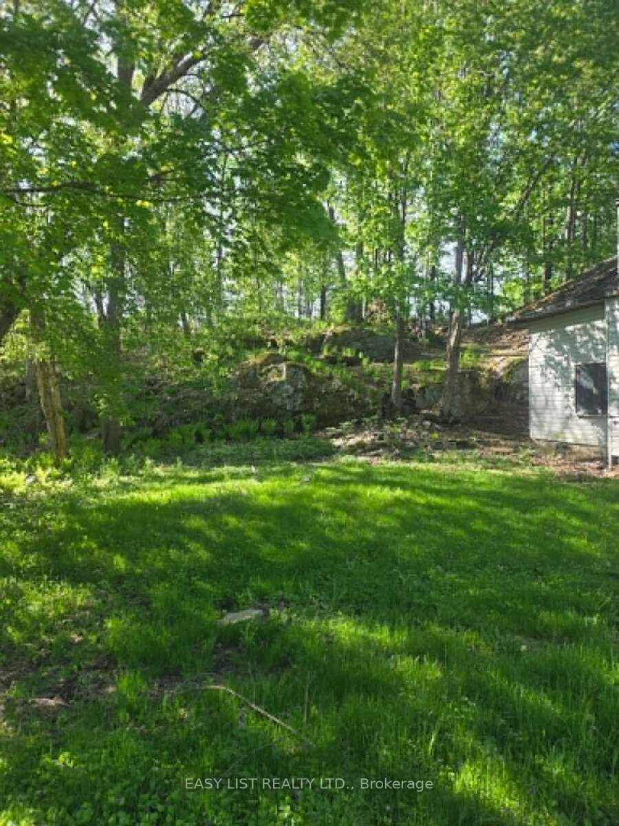Listing 267093 Image