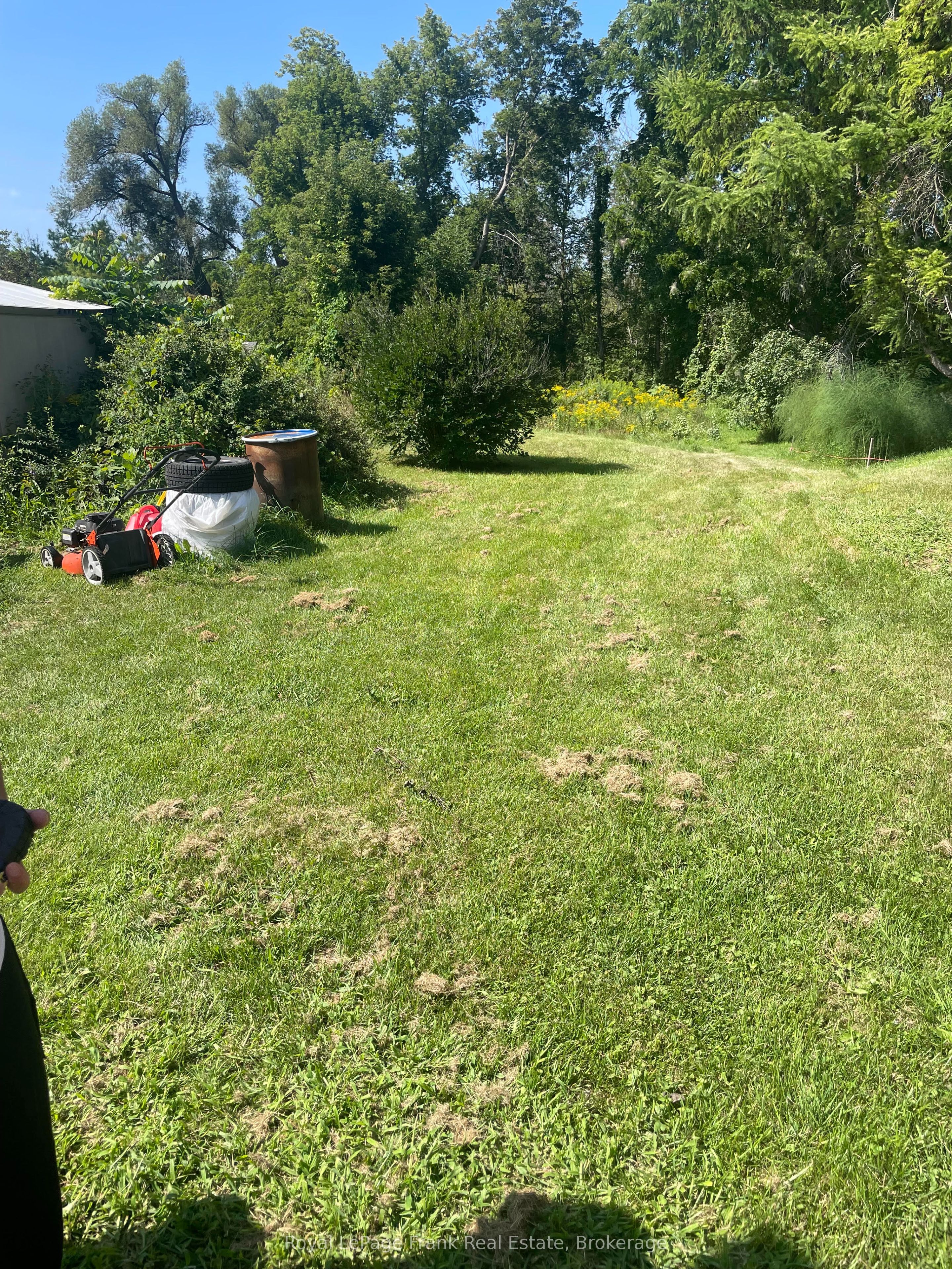 Listing 268757 Image