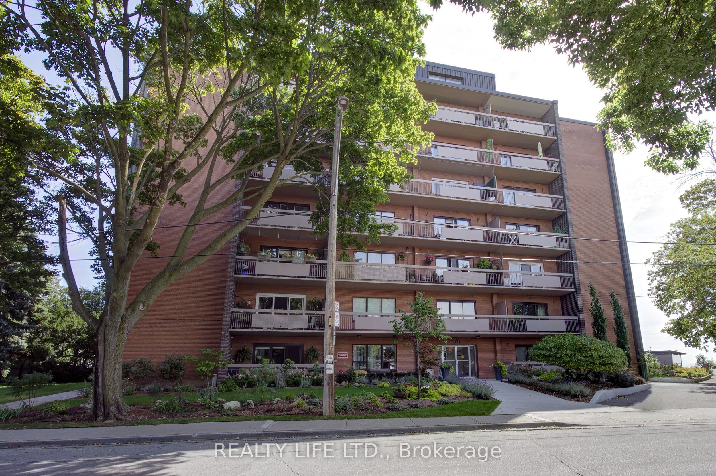 Listing 319547 Image