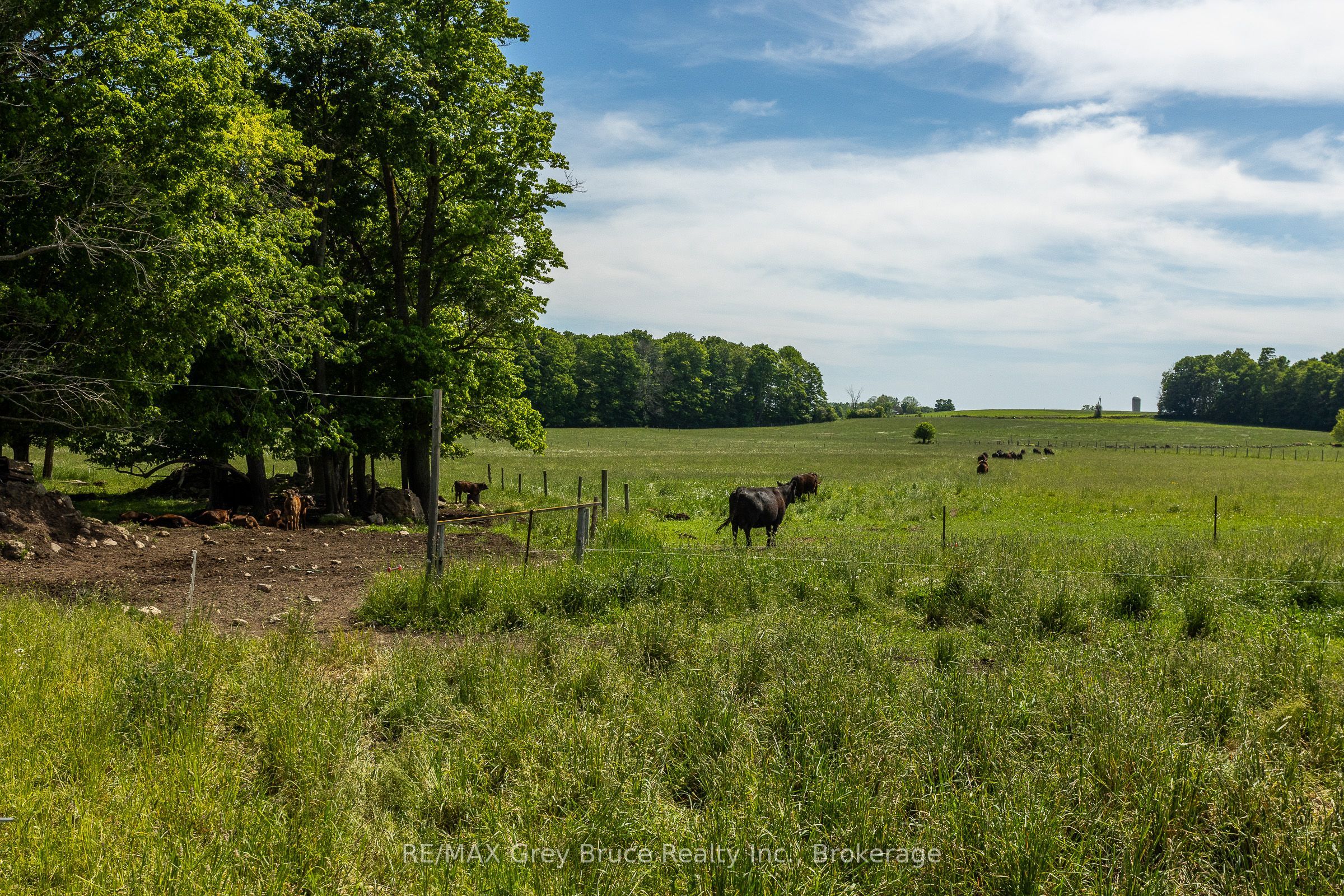 Listing 269272 Image