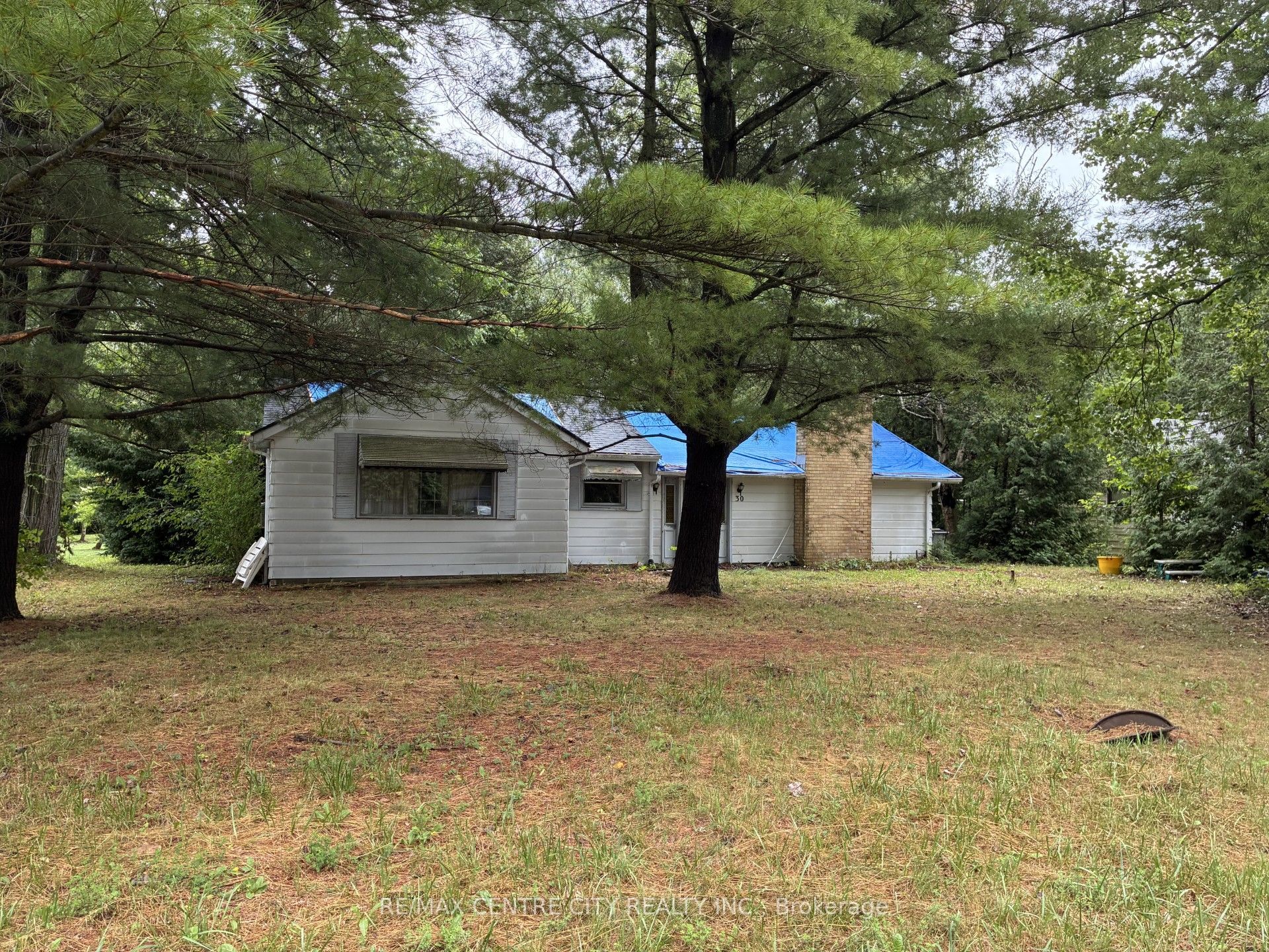 Listing 286657 Image
