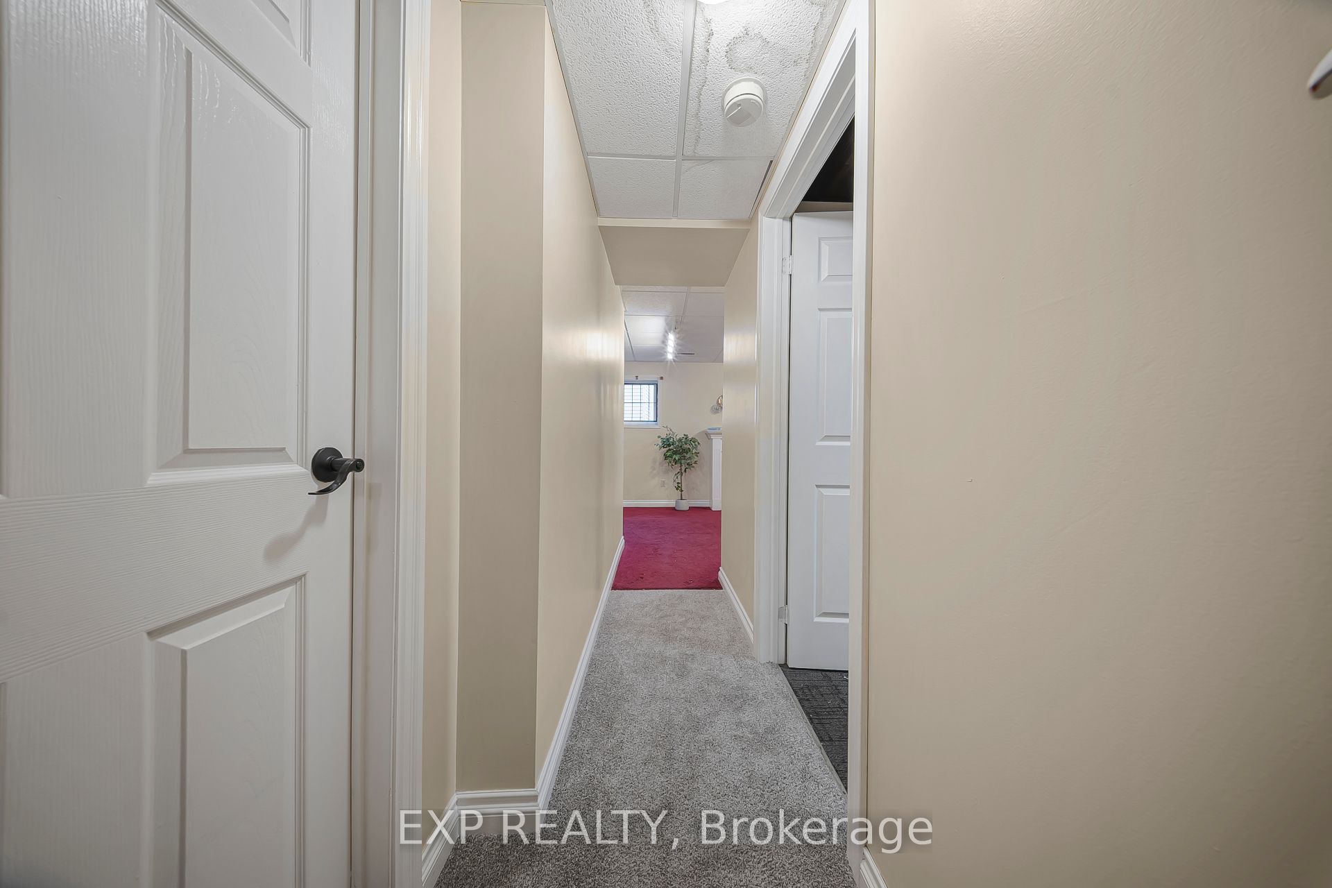 Listing 269498 Image