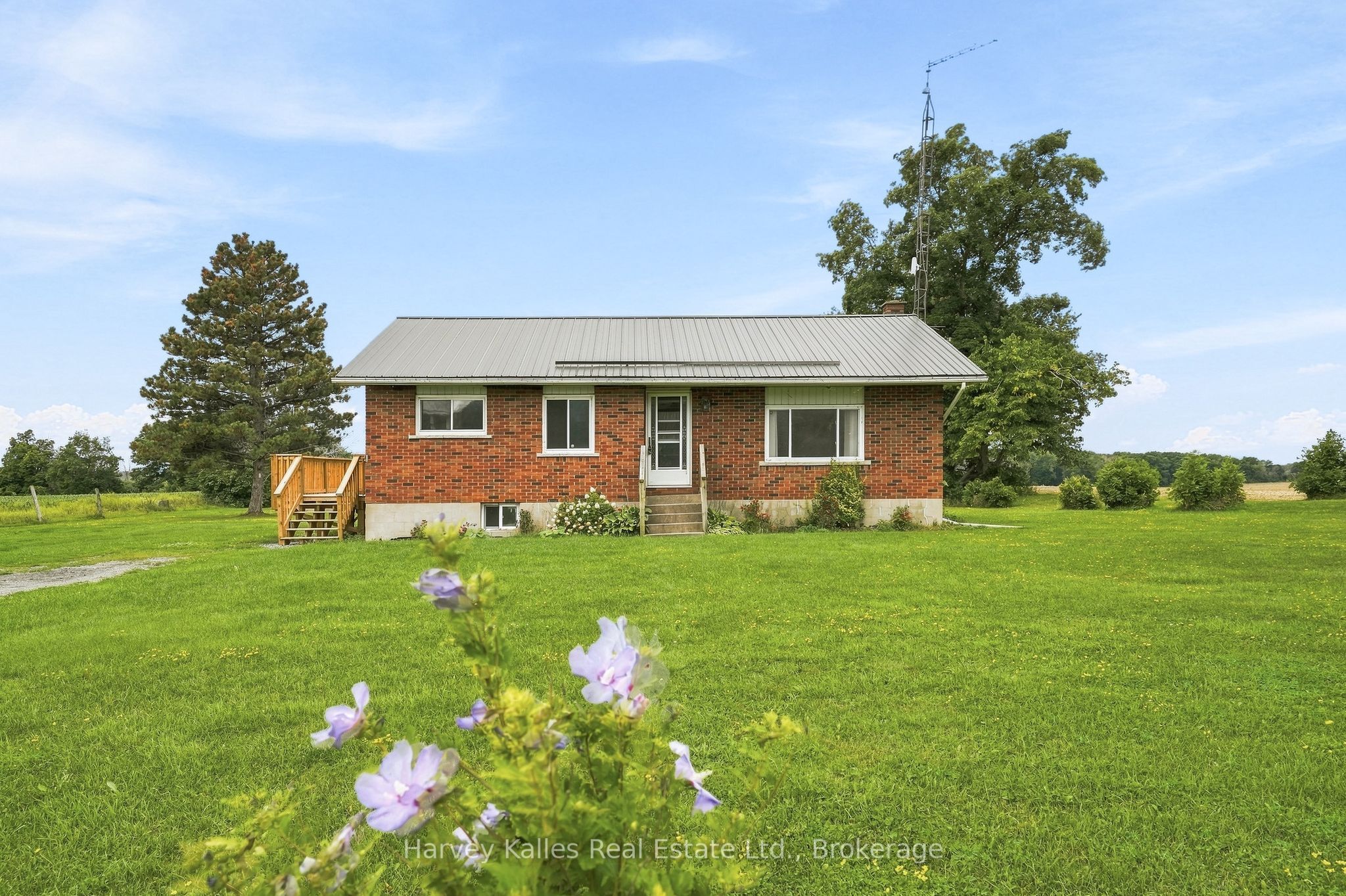 Listing 274050 Image