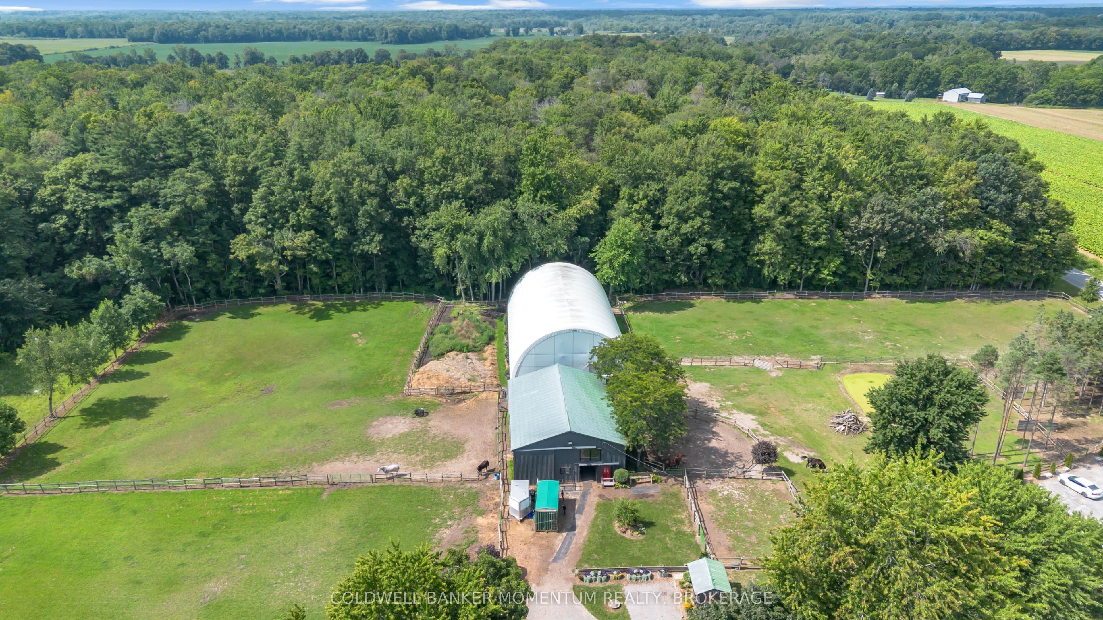 Listing 271384 Image