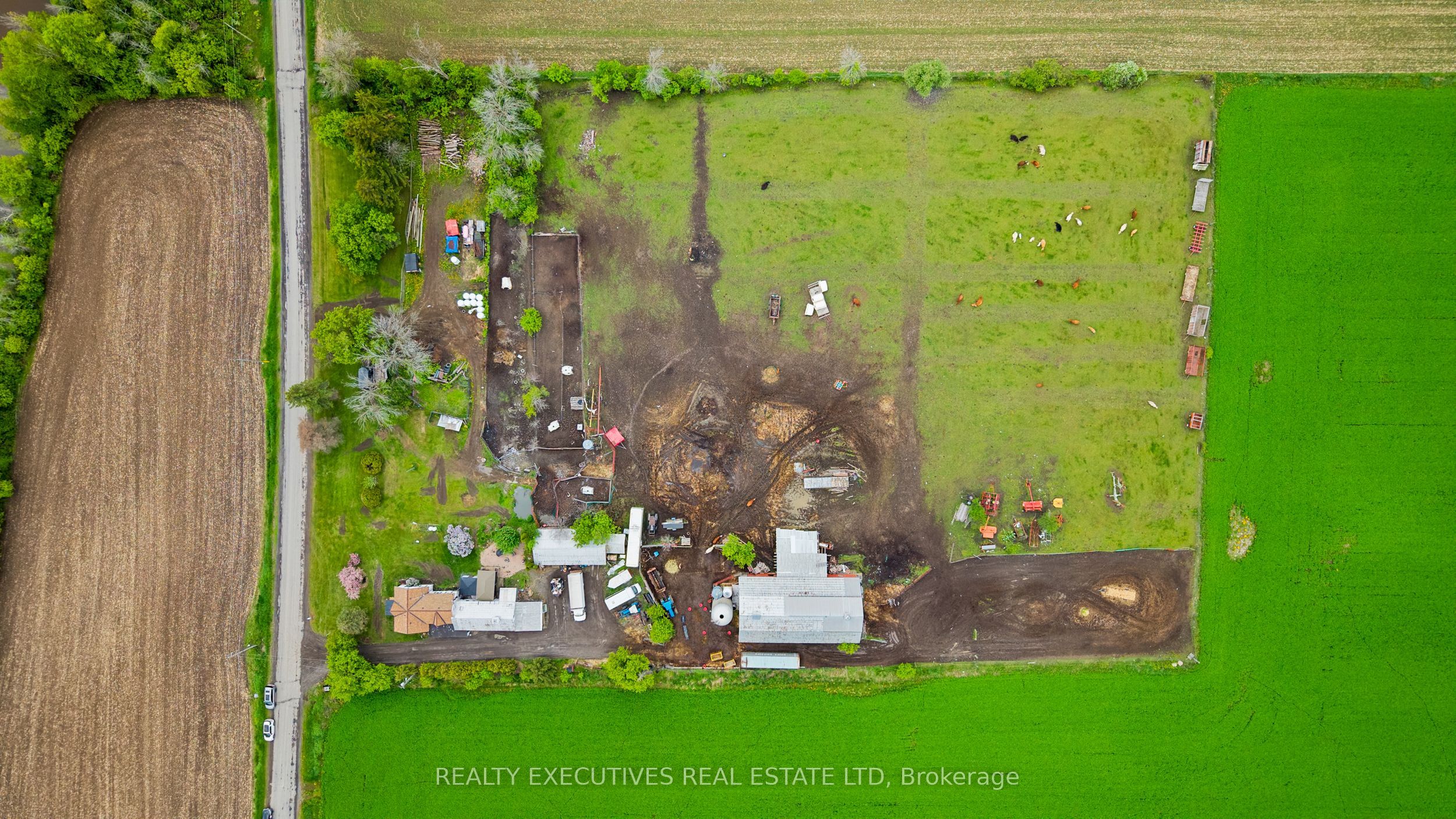 Main Property