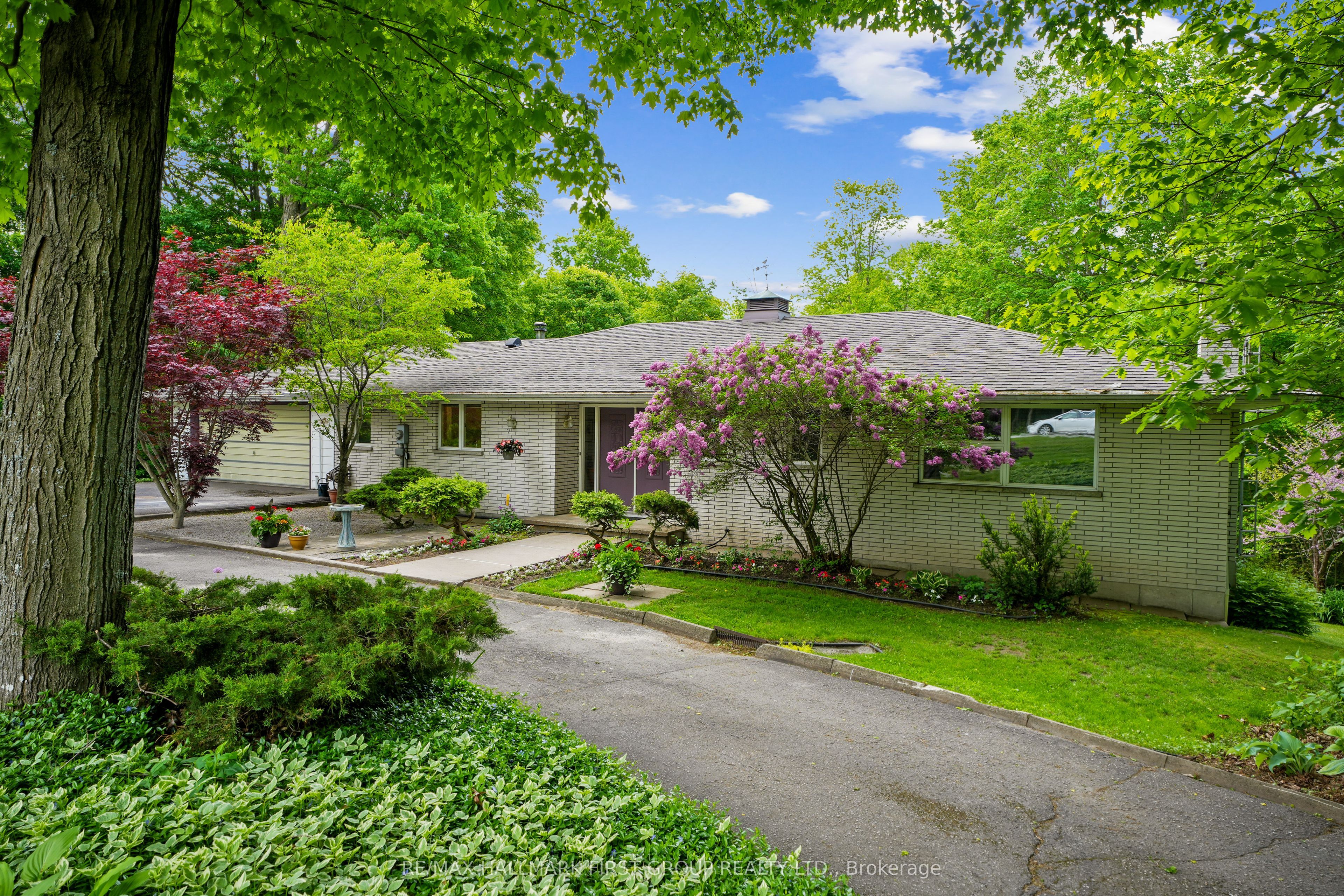 Listing 270769 Image