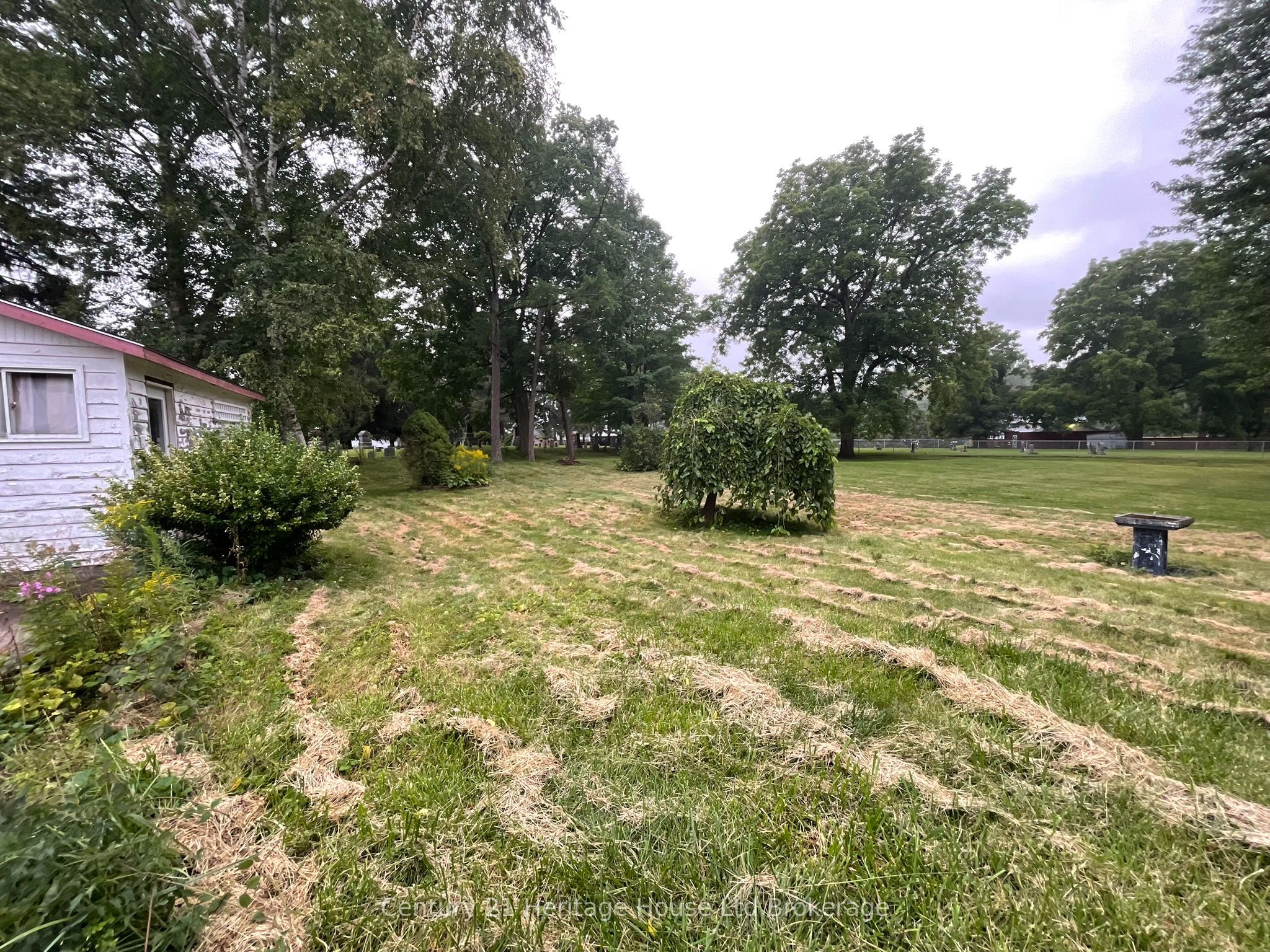 Listing 271464 Image