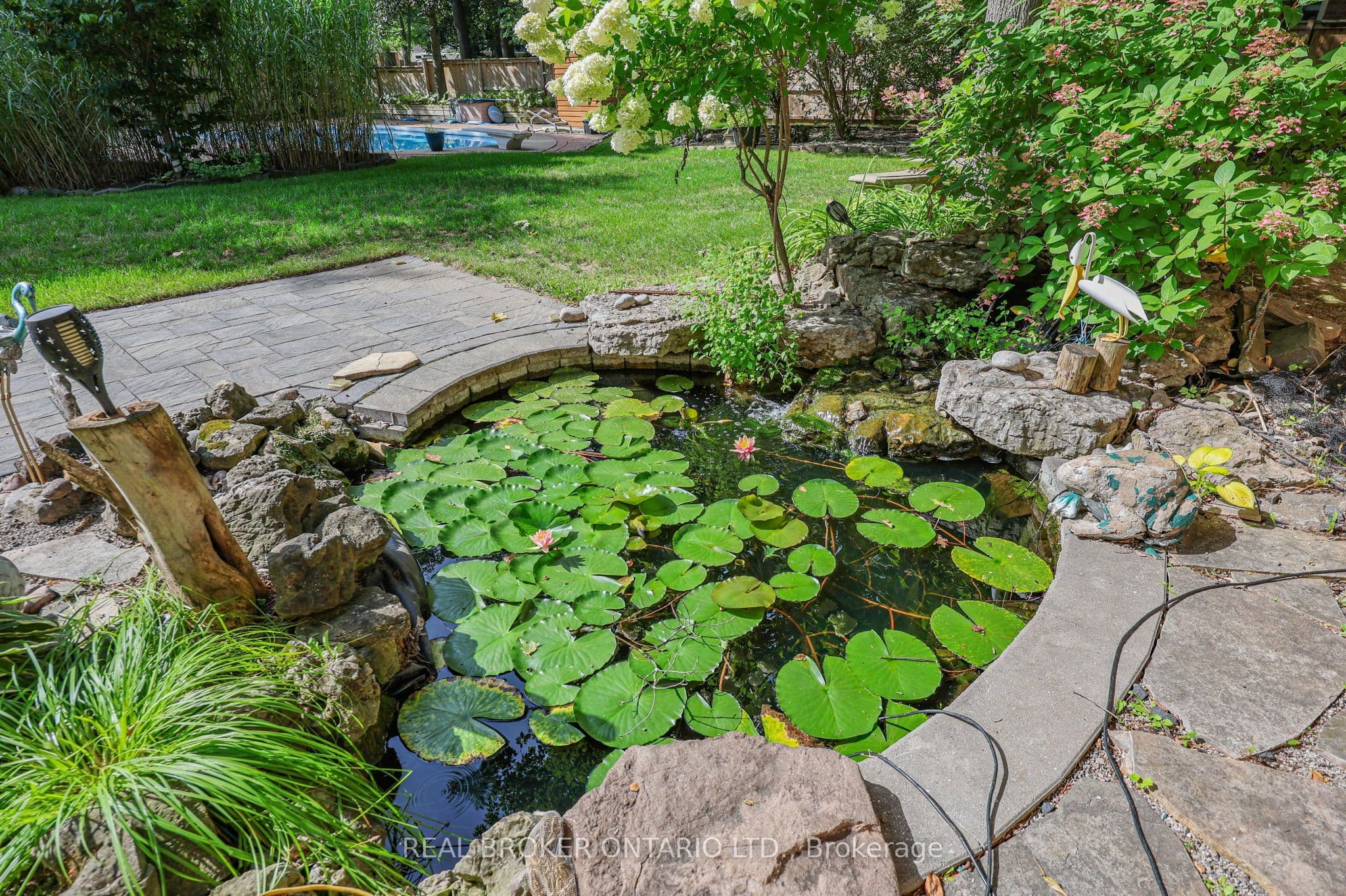 Listing 298001 Image
