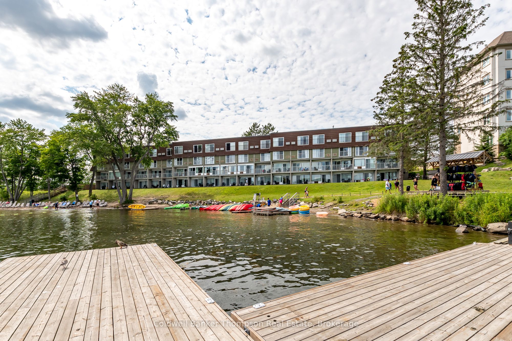 Main Property