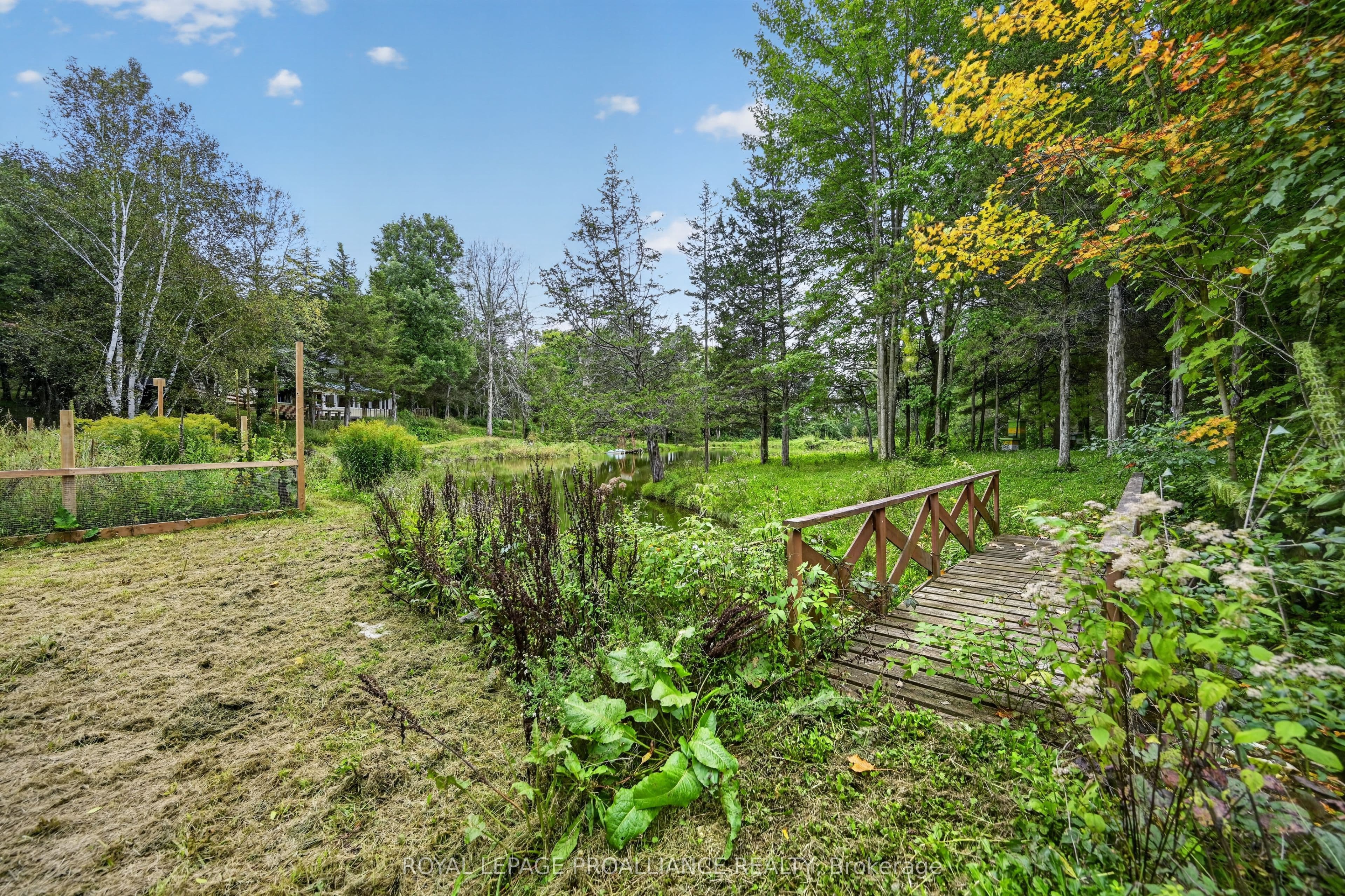 Listing 297880 Image