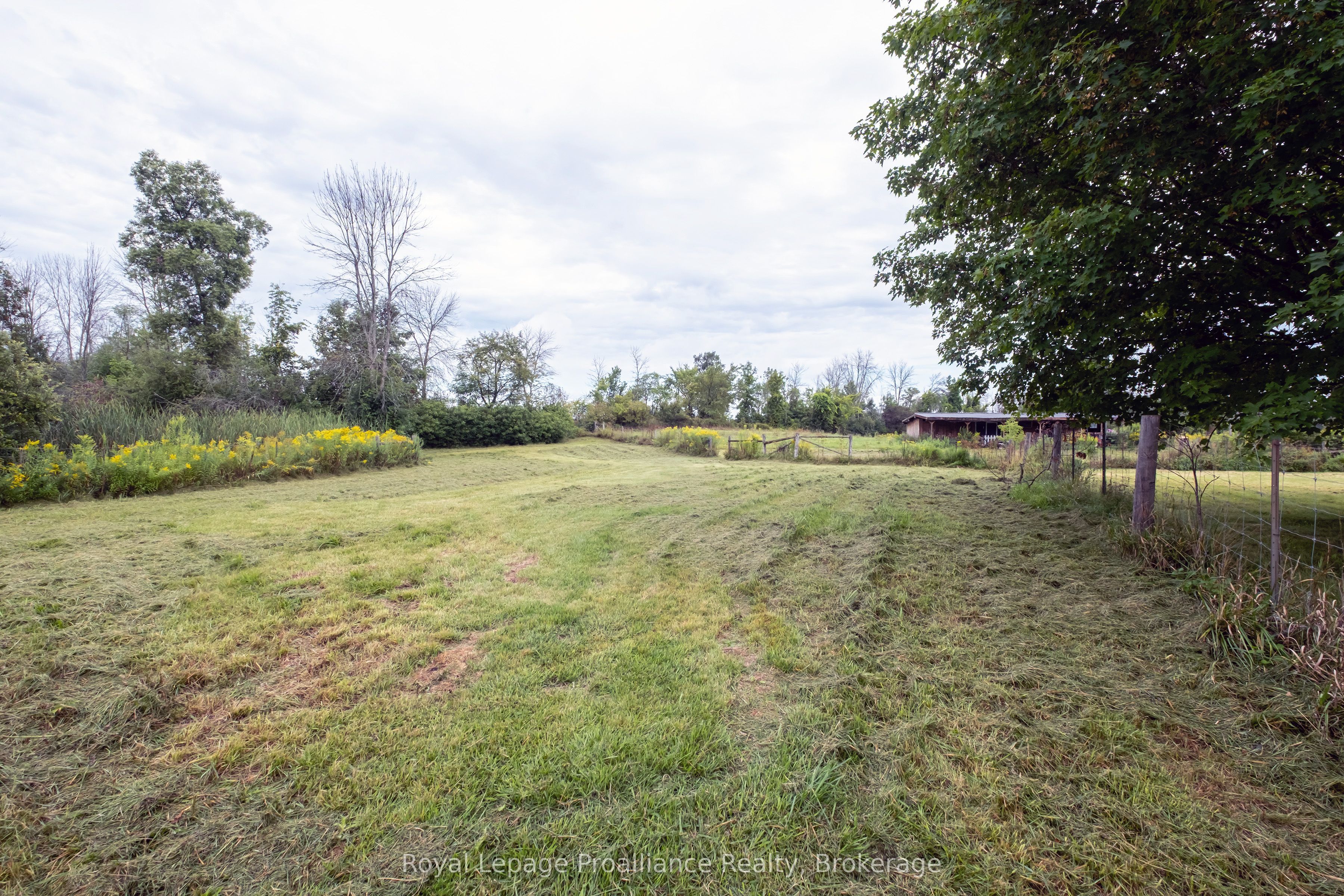 Listing 273116 Image