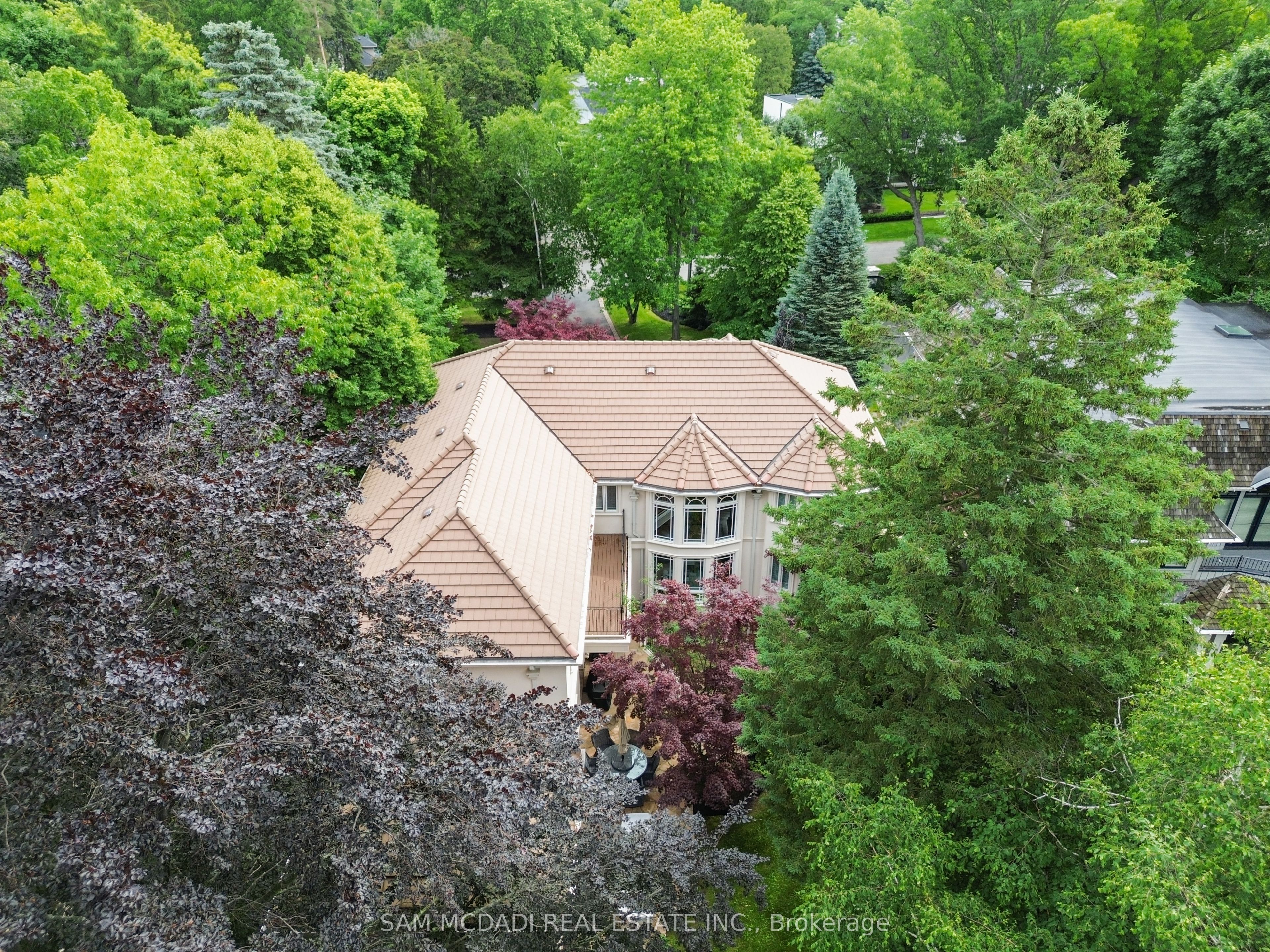 Main Property