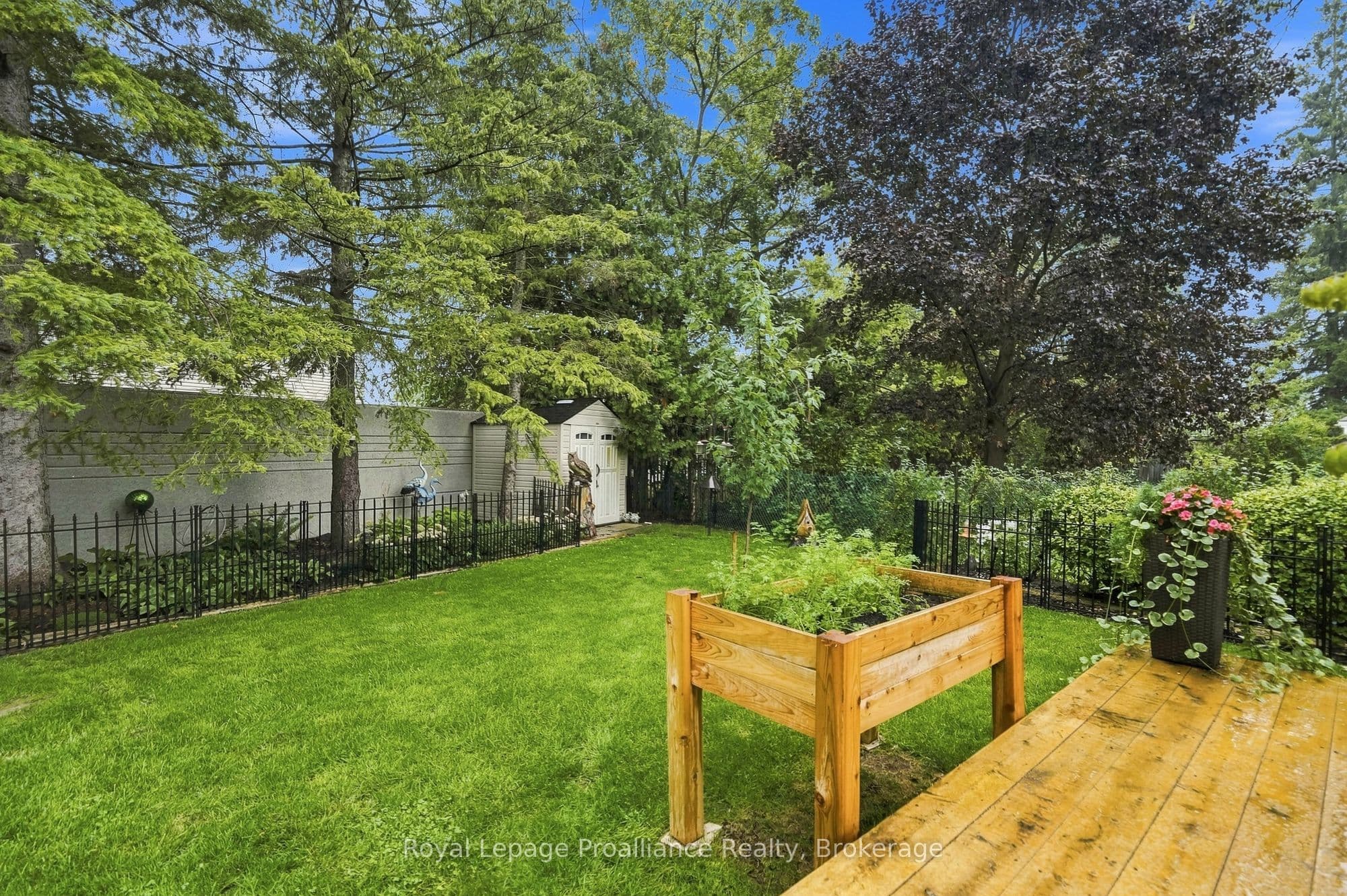 Listing 303090 Image