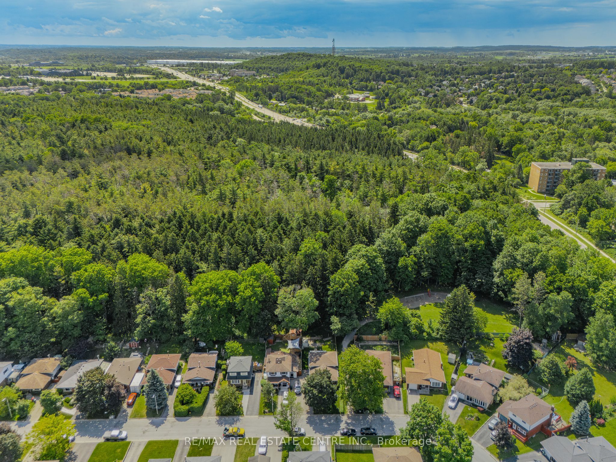 Main Property