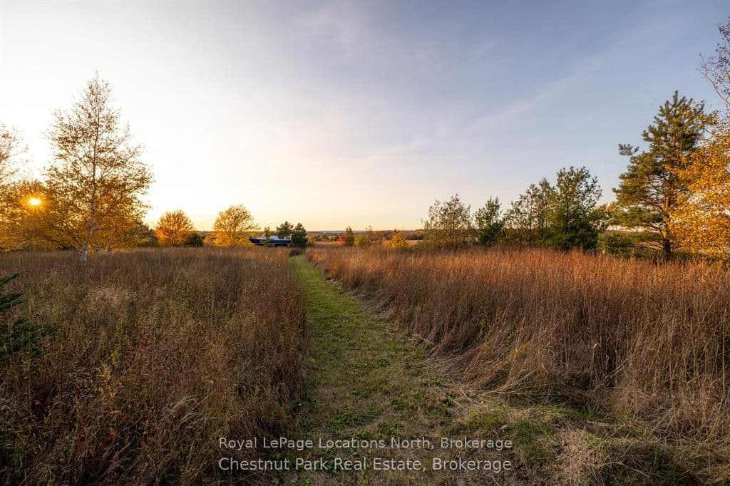 Listing 294688 Image