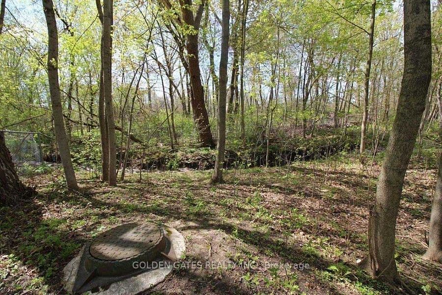 Listing 290354 Image