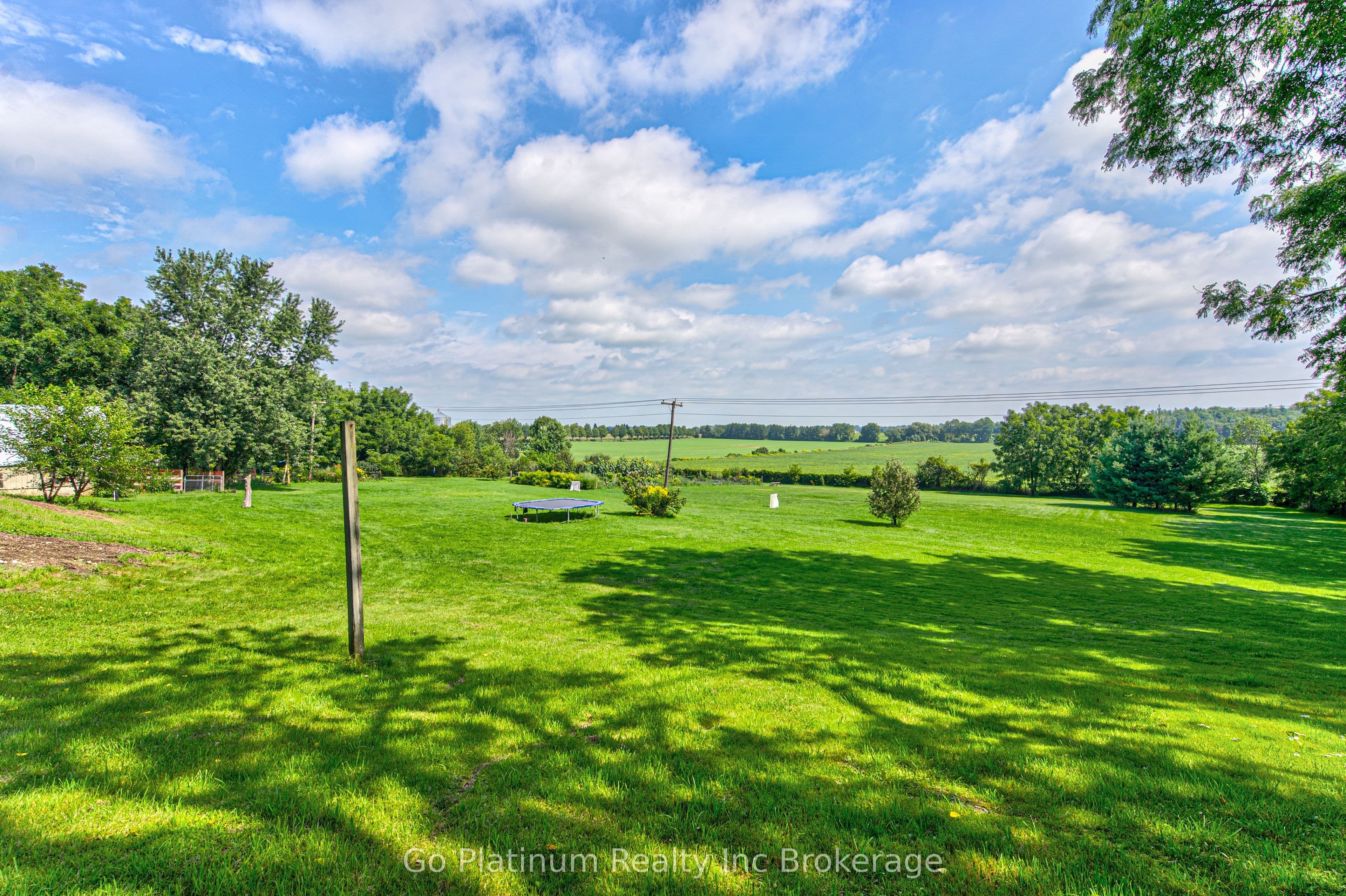 Listing 287995 Image