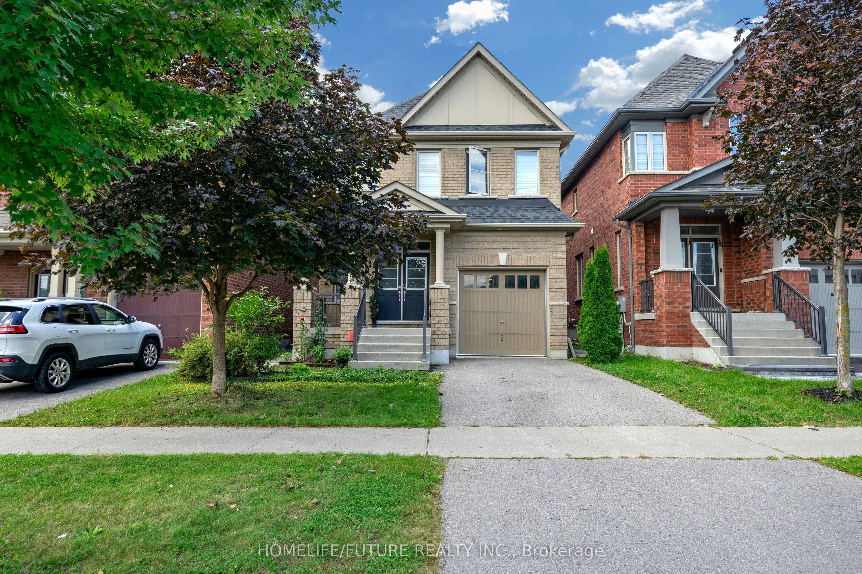 Main Property