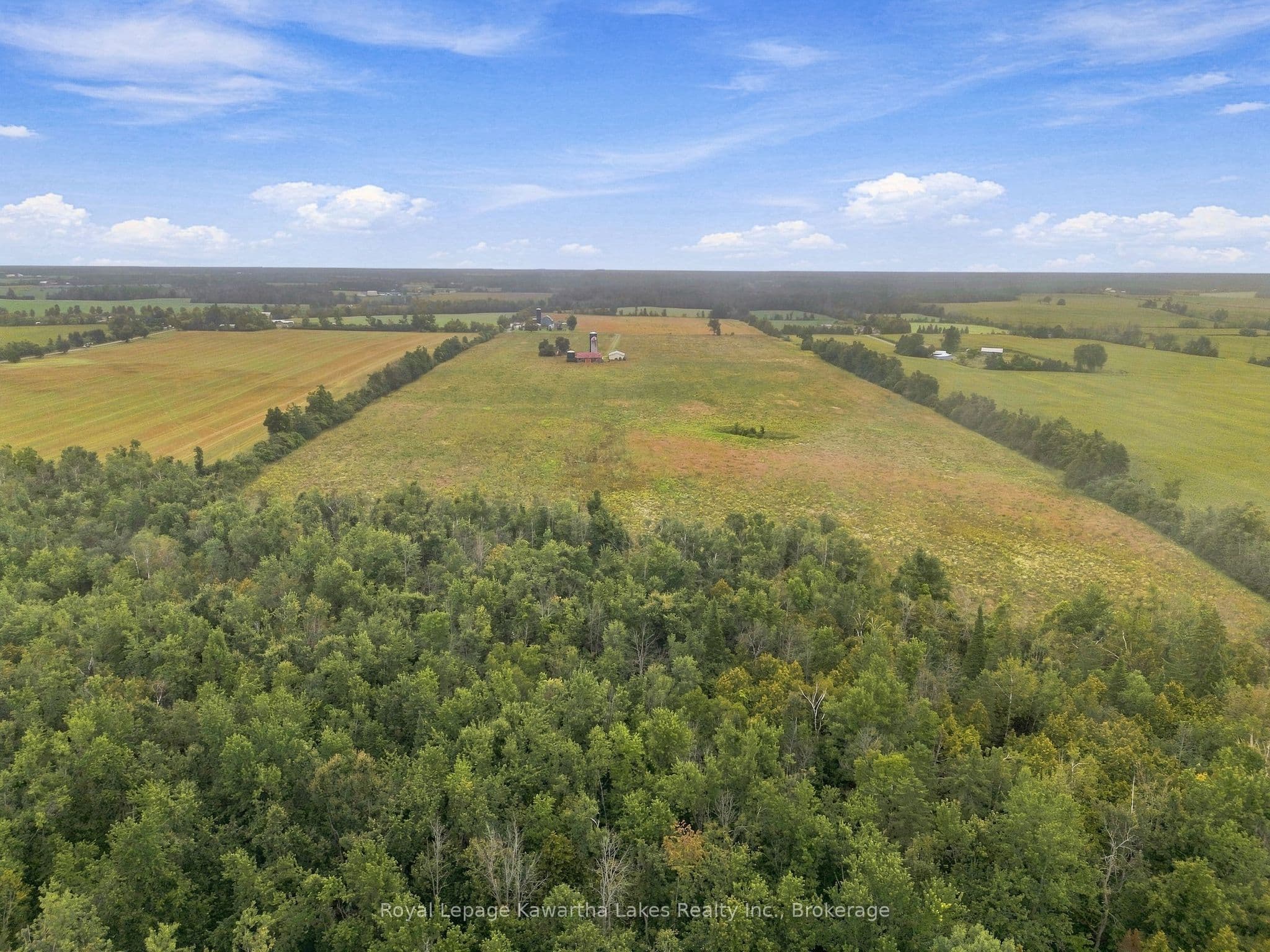 Listing 289789 Image