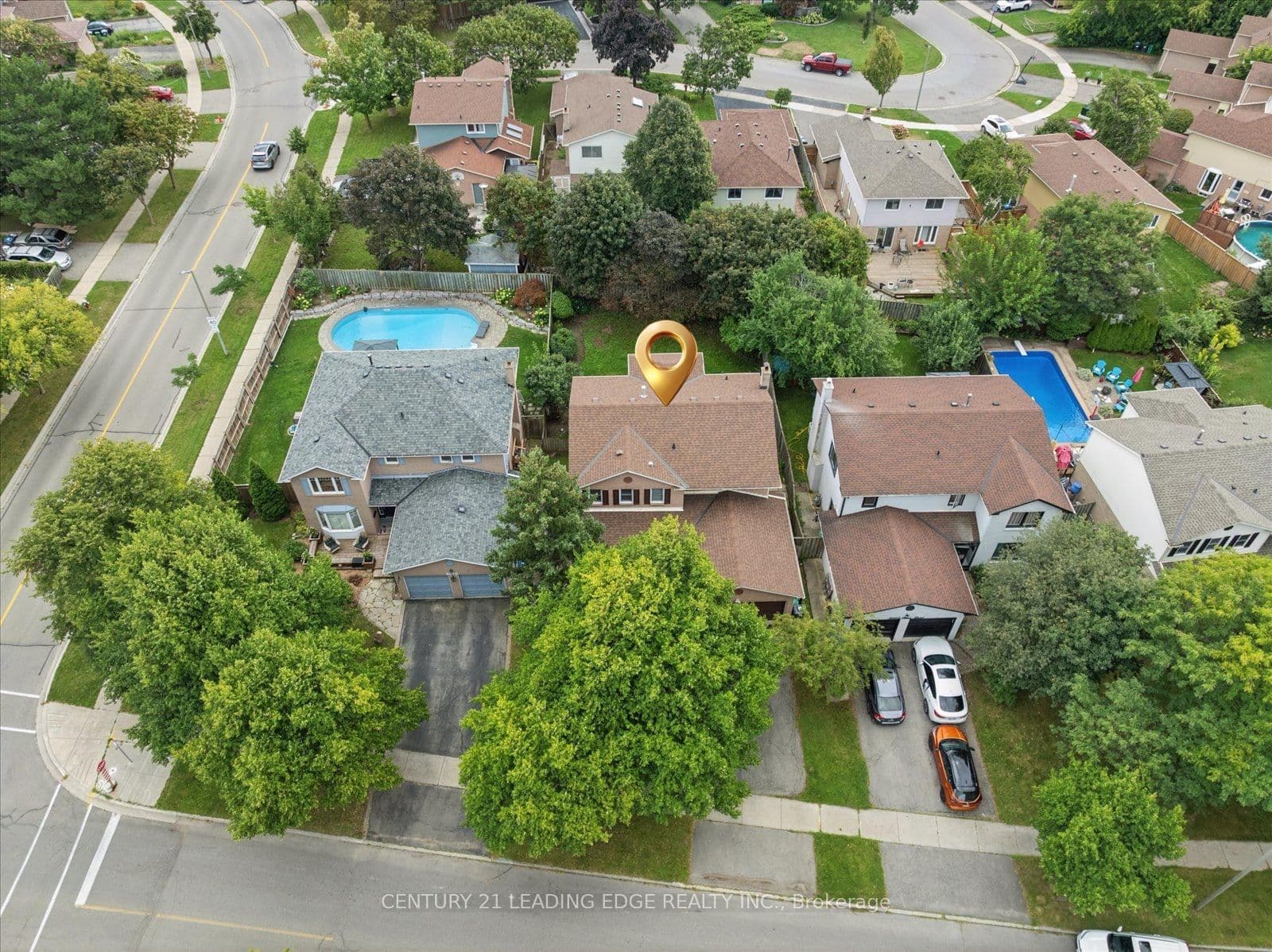 Main Property