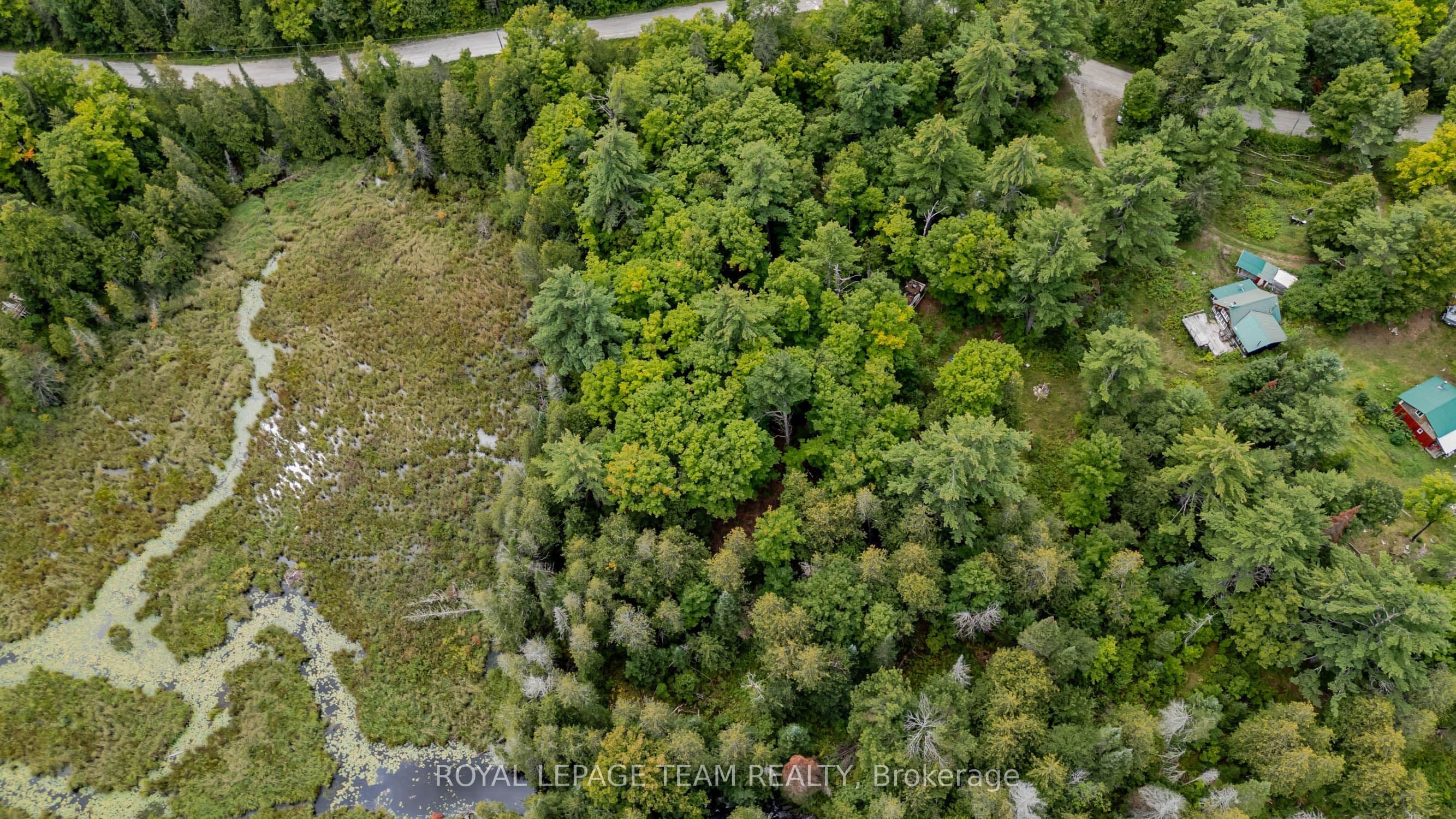 Listing 281059 Image