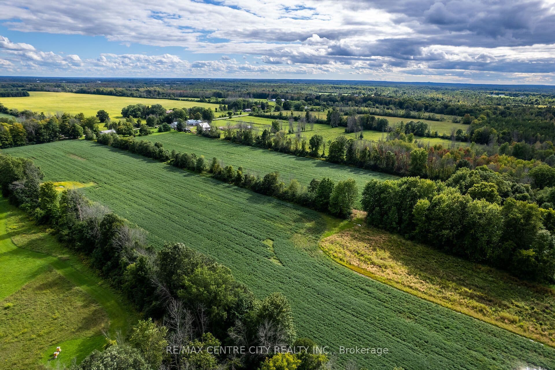 Listing 297511 Image