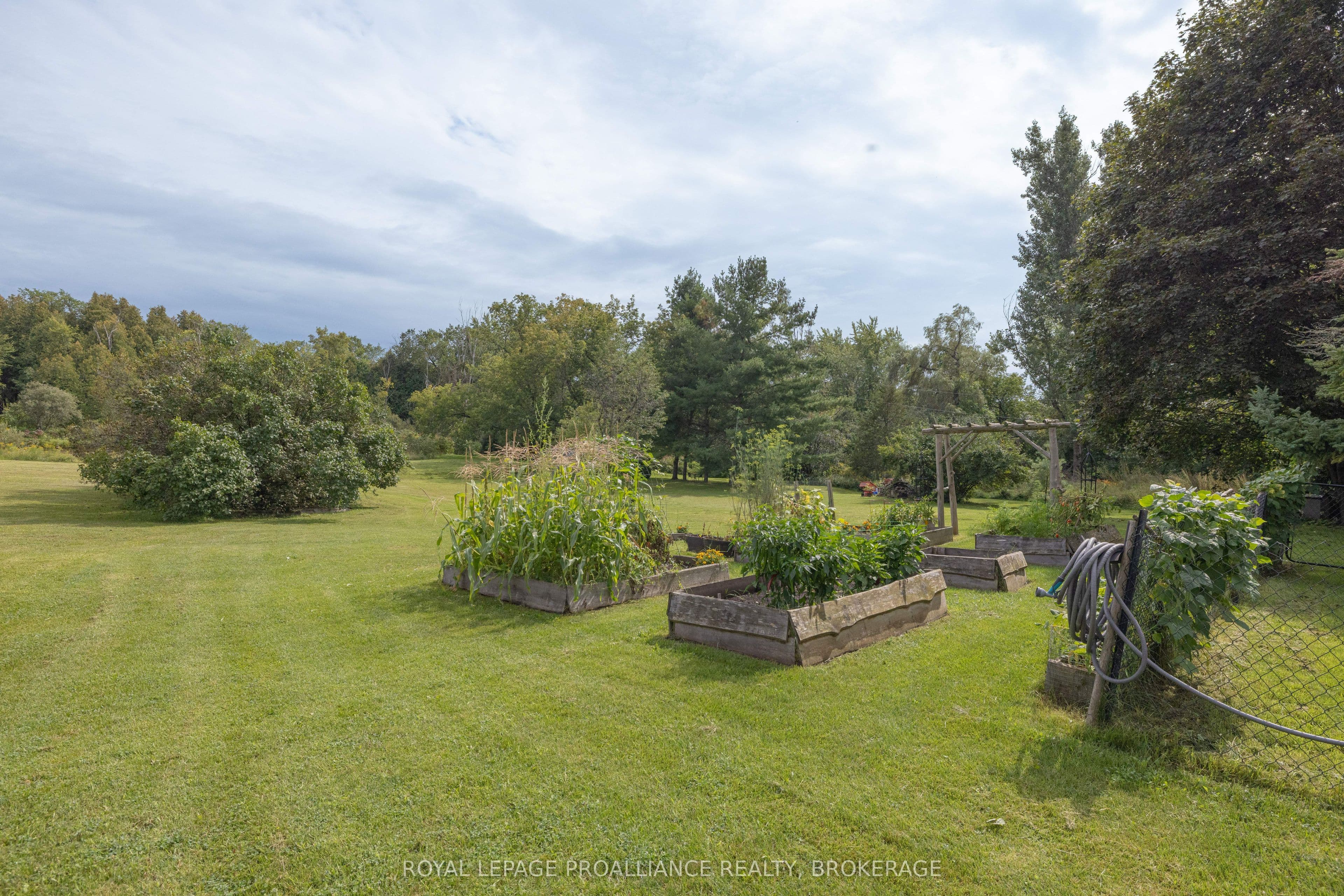 Listing 283844 Image